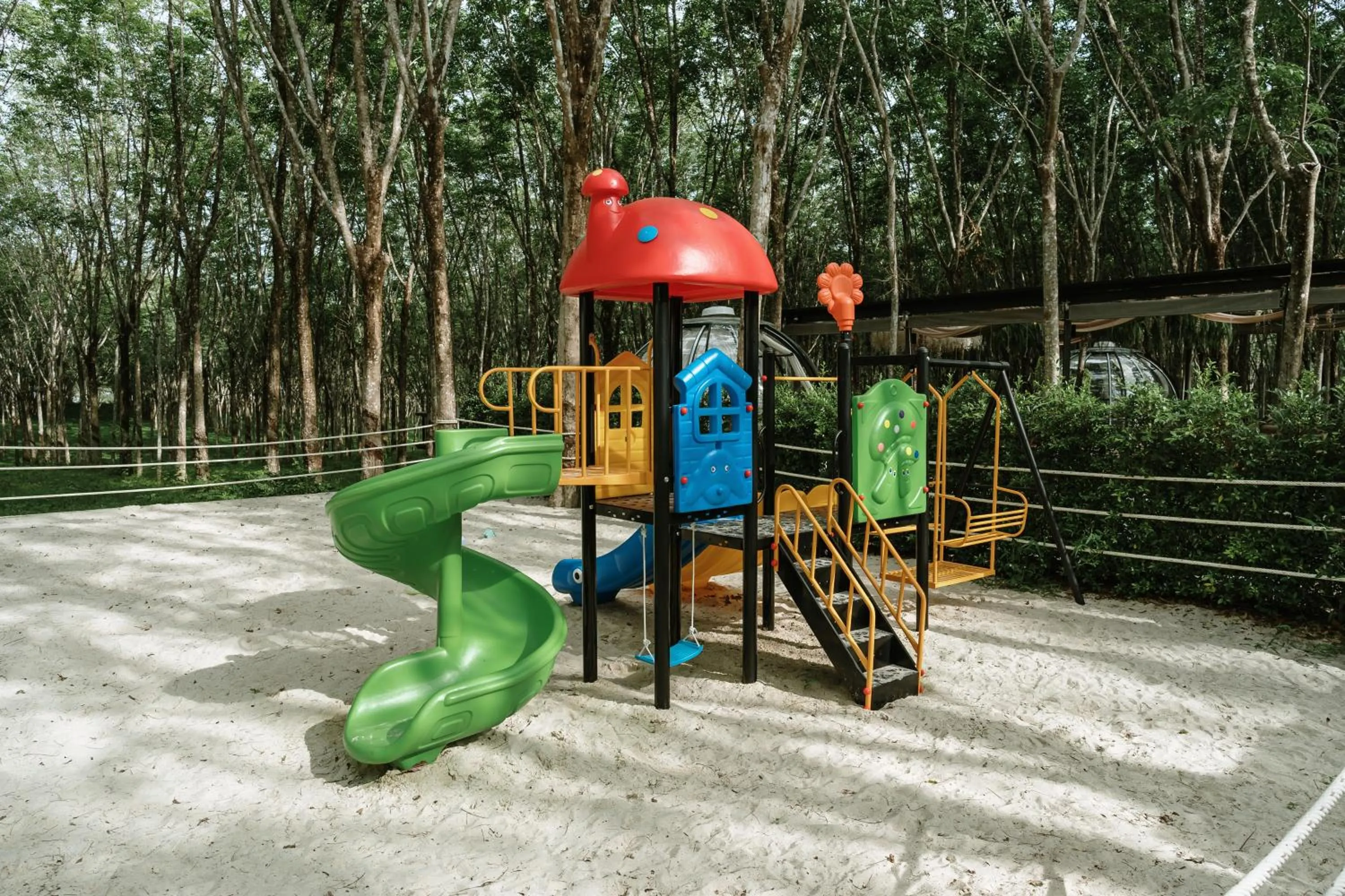 Natural landscape in Timber Society Boutique Hideaway