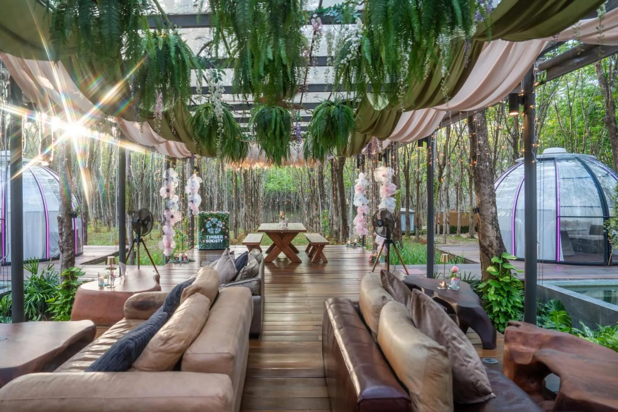 Day in Timber Society Boutique Hideaway