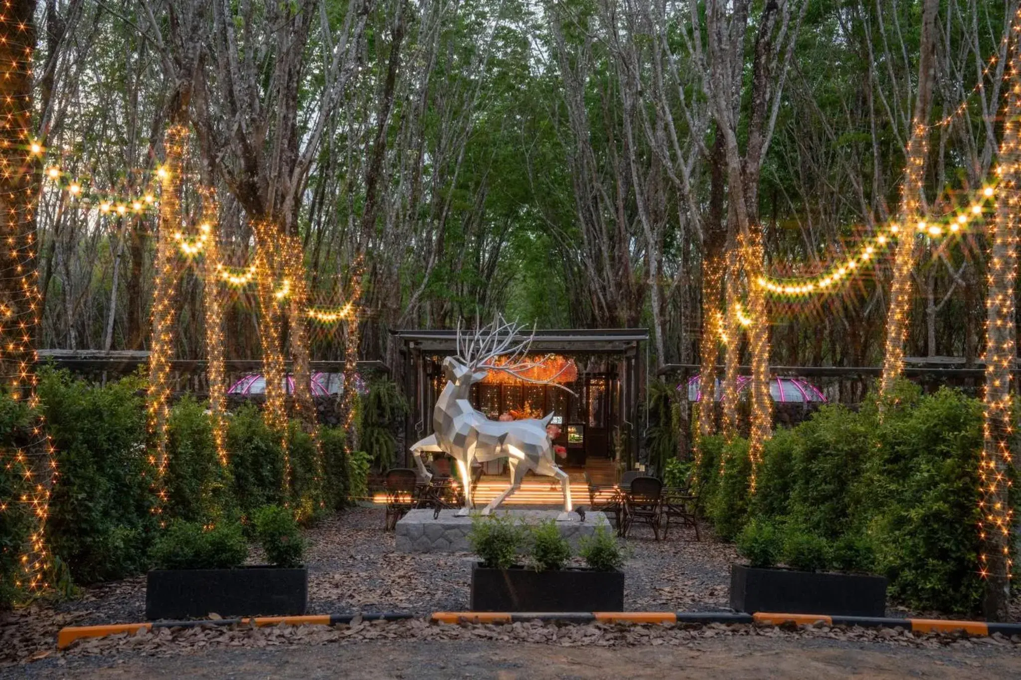 Natural landscape in Timber Society Boutique Hideaway Natural landscape in Timber Society Boutique Hideaway