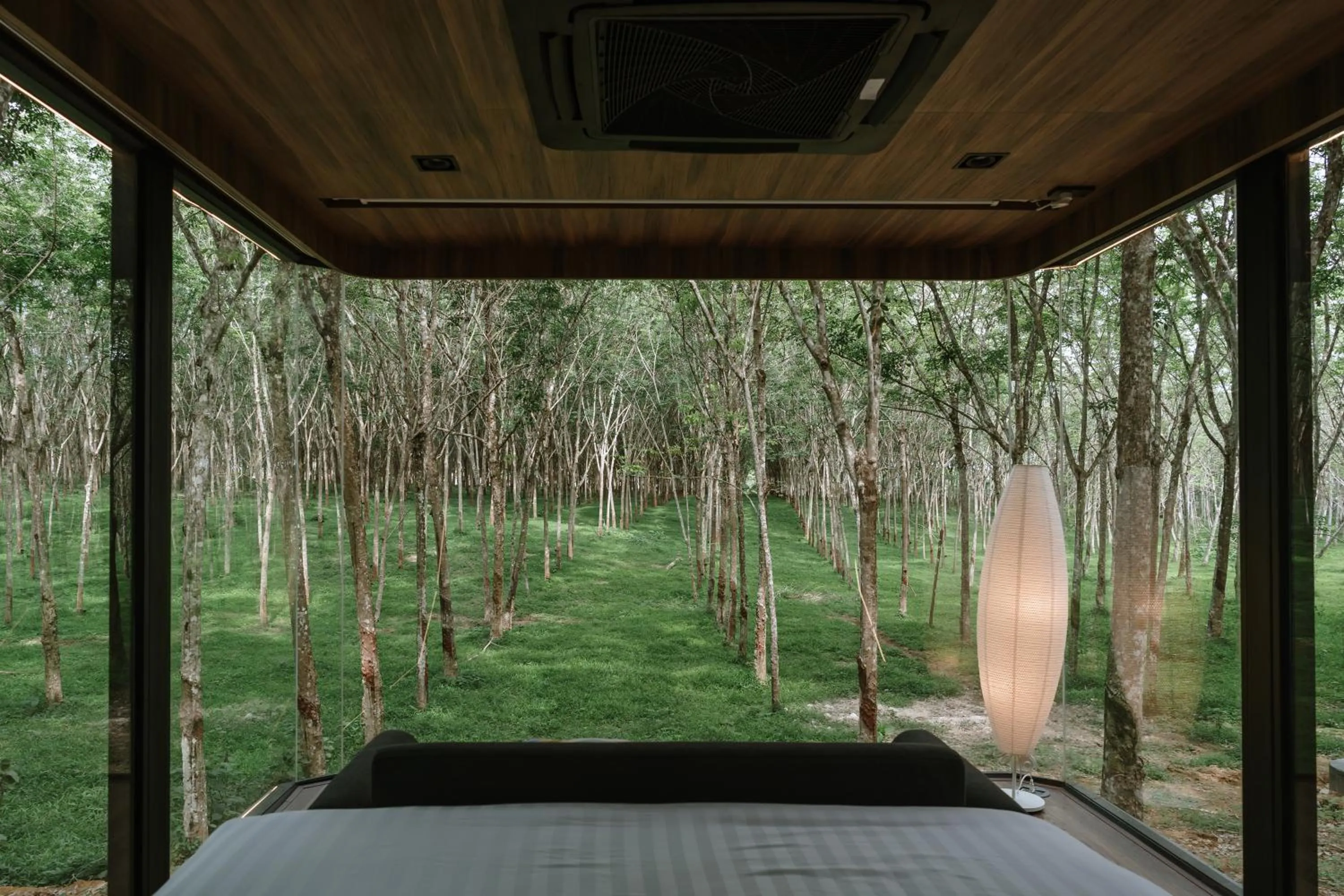 Natural landscape in Timber Society Boutique Hideaway