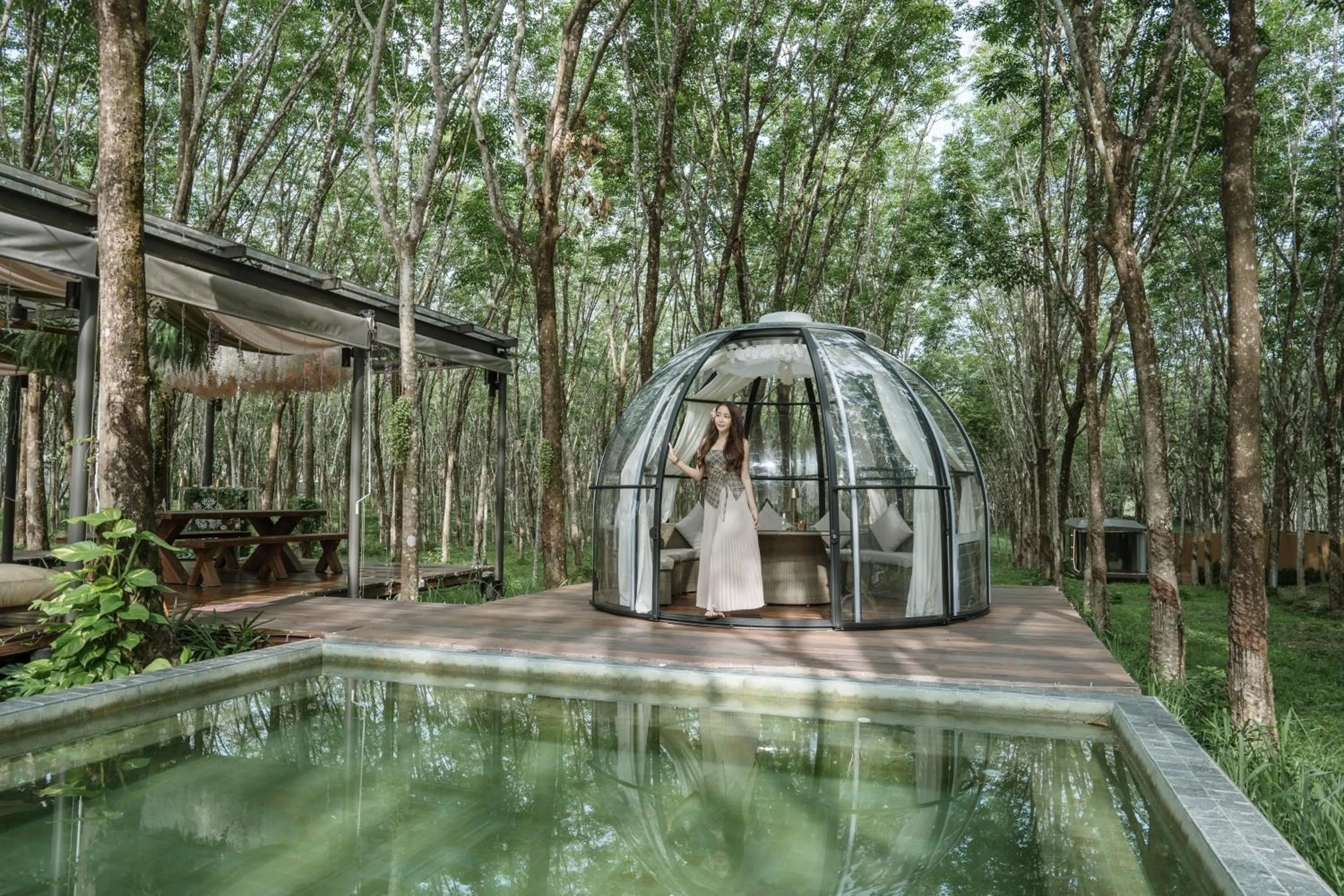 Natural landscape in Timber Society Boutique Hideaway