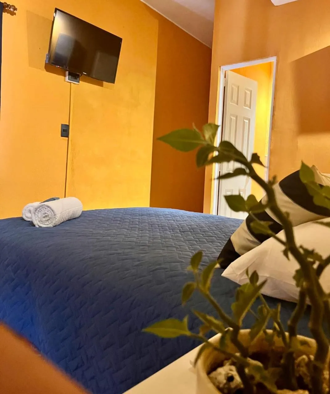 La Casita