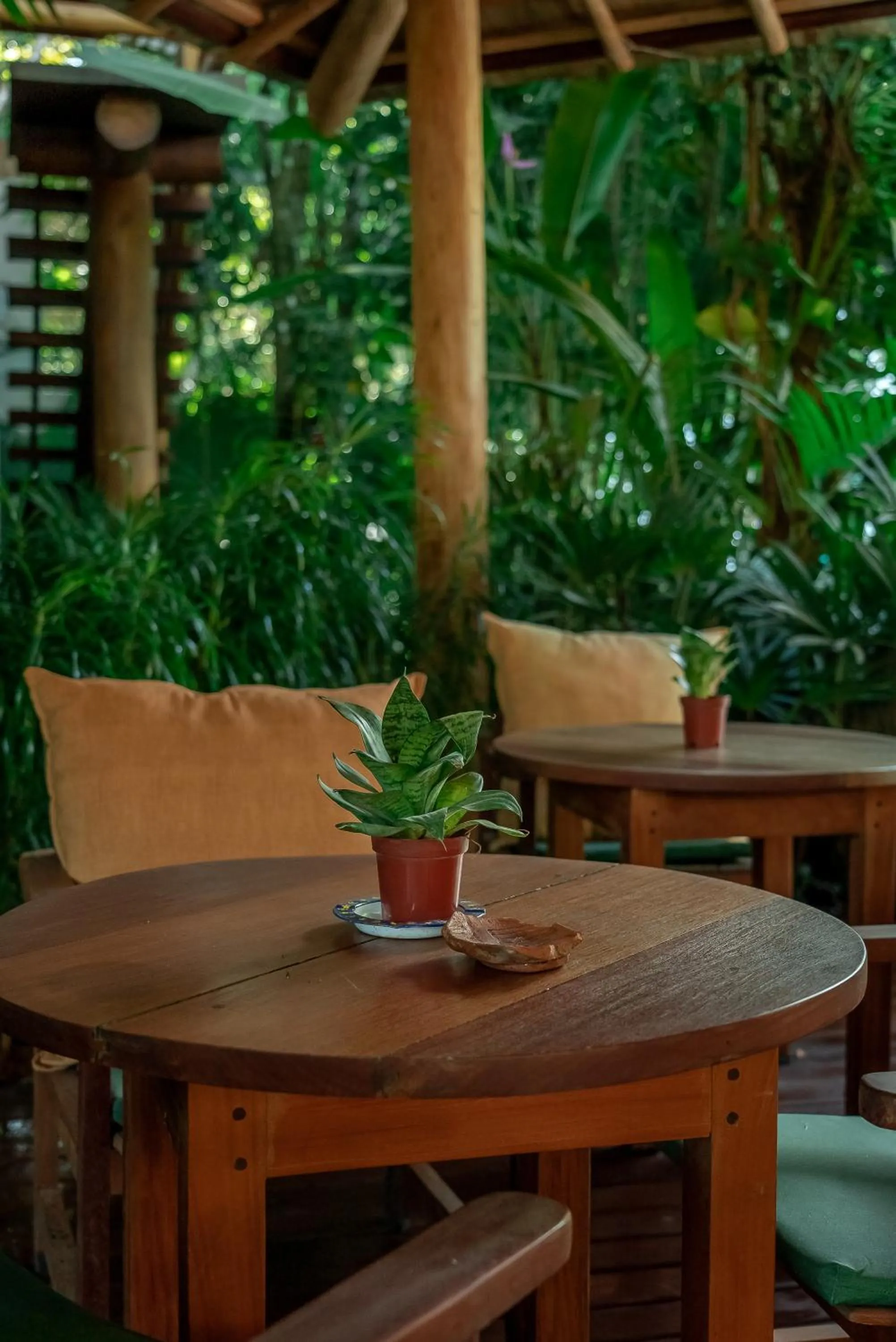 Pousada Cajueiro Trancoso