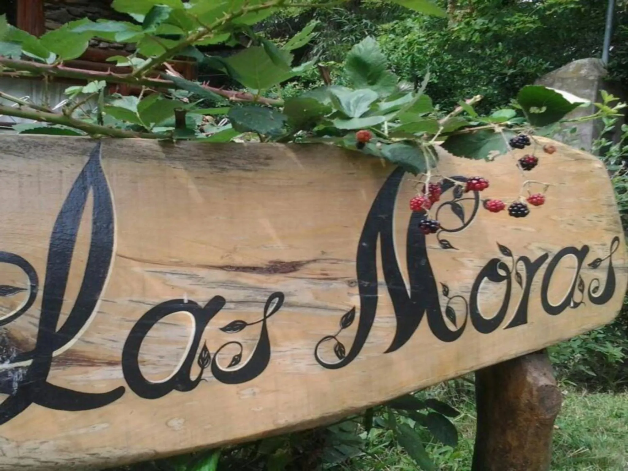 Day in Cabañas Las Moras