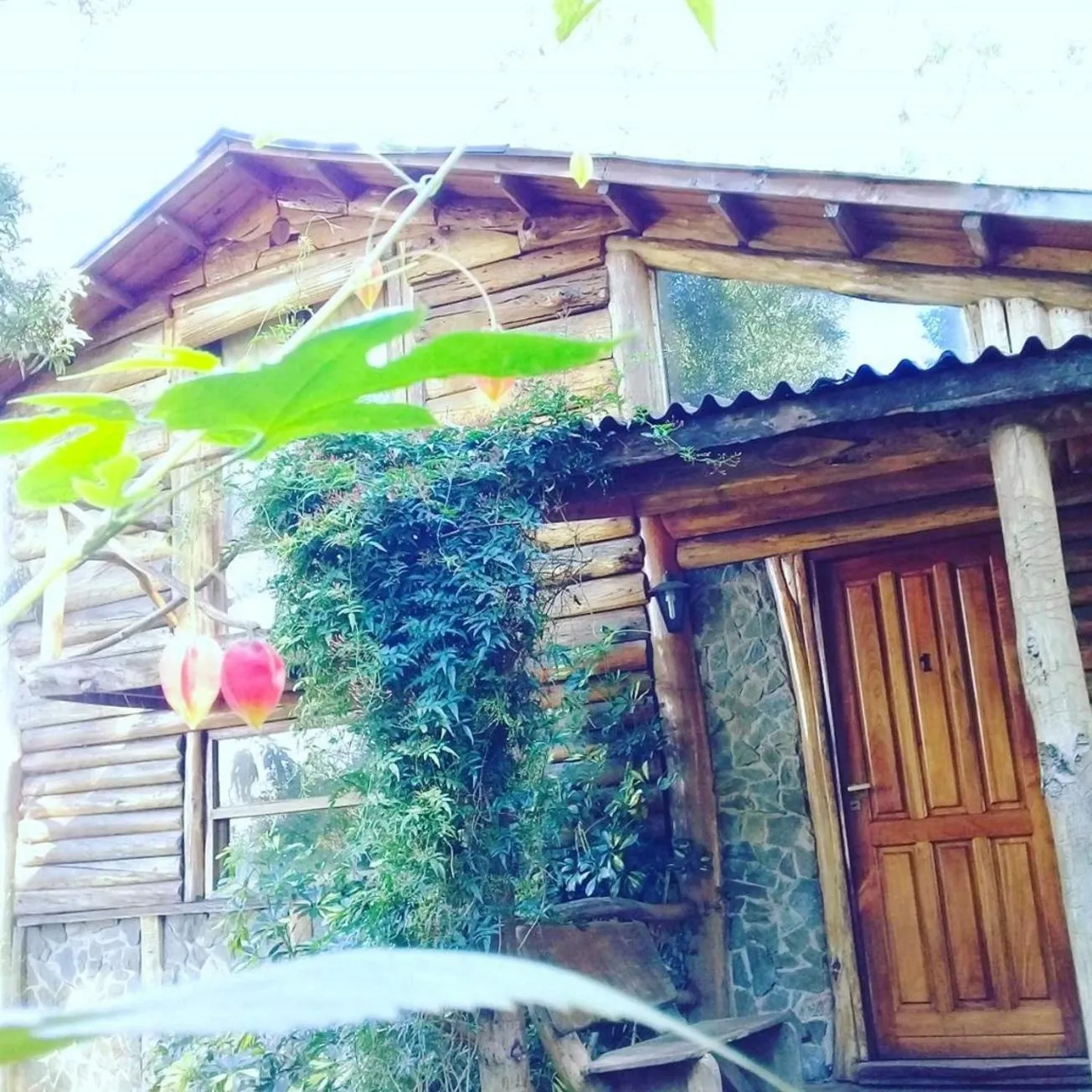 Cabañas Las Moras