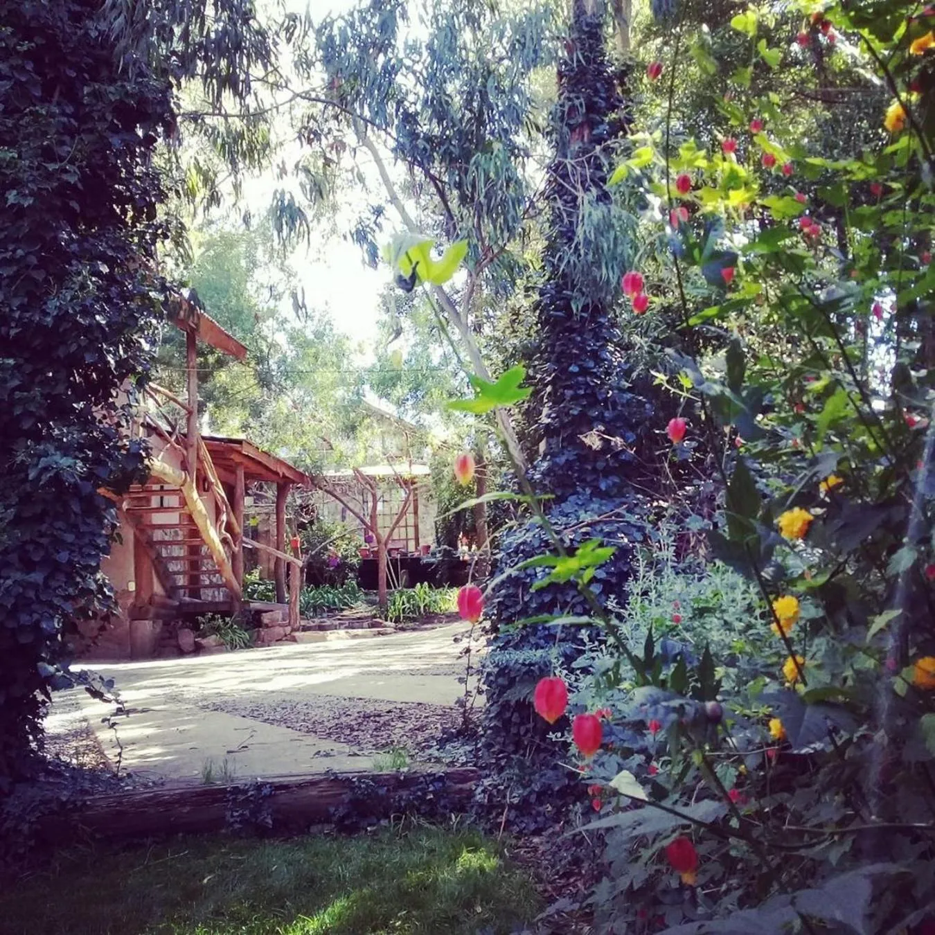 Garden in Cabañas Las Moras