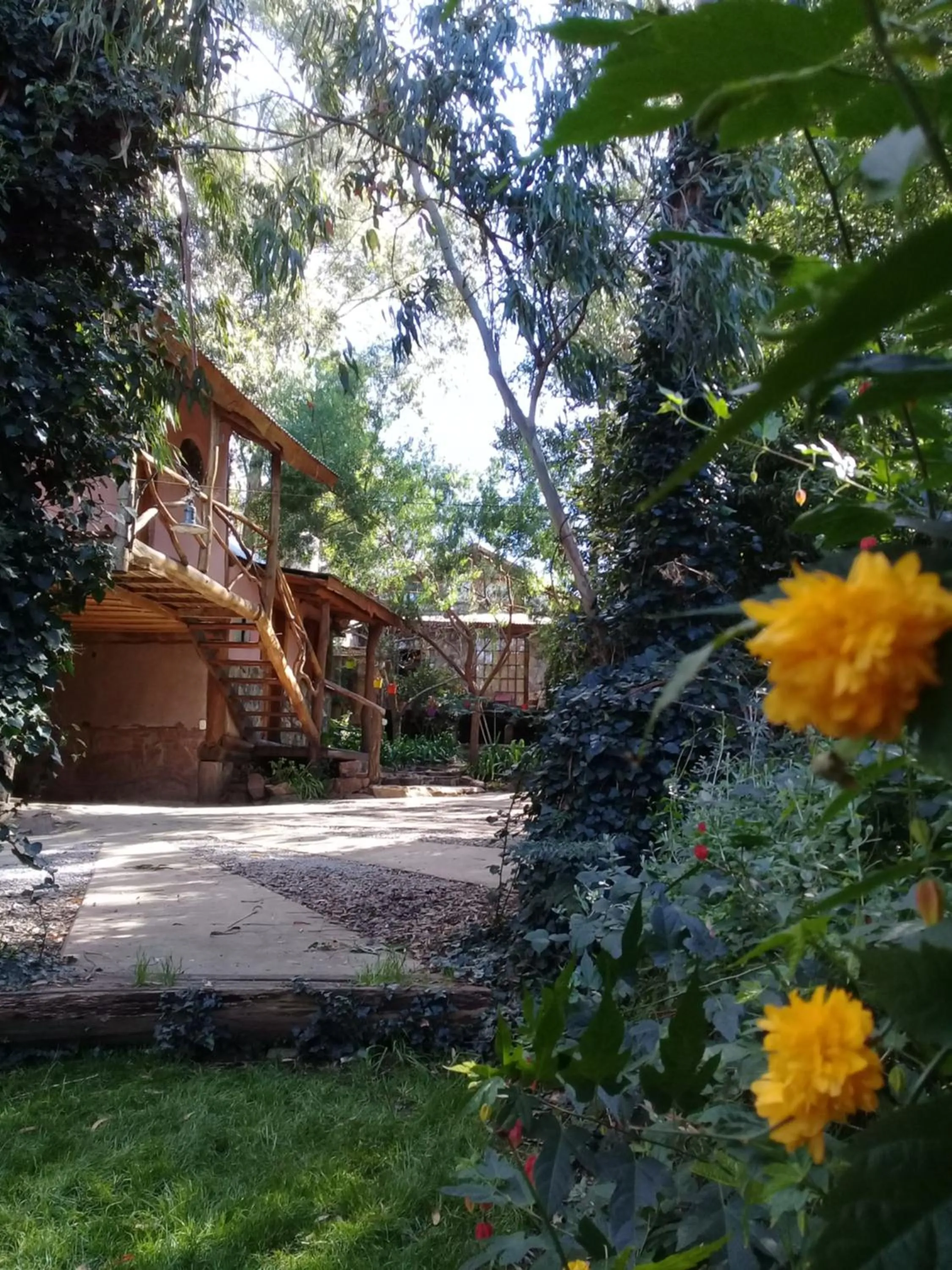 Property building in Cabañas Las Moras
