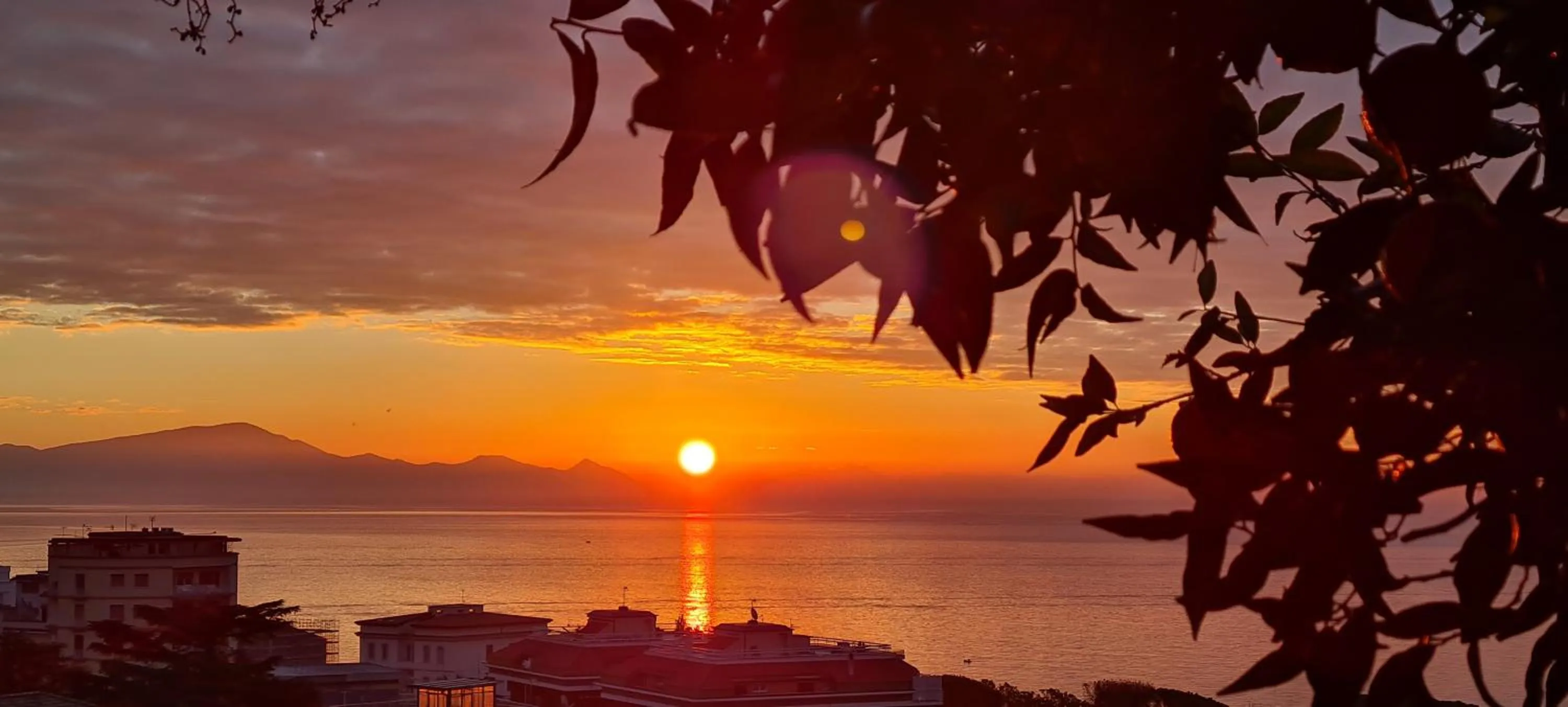 Balcony/Terrace in Villa Olga B&B