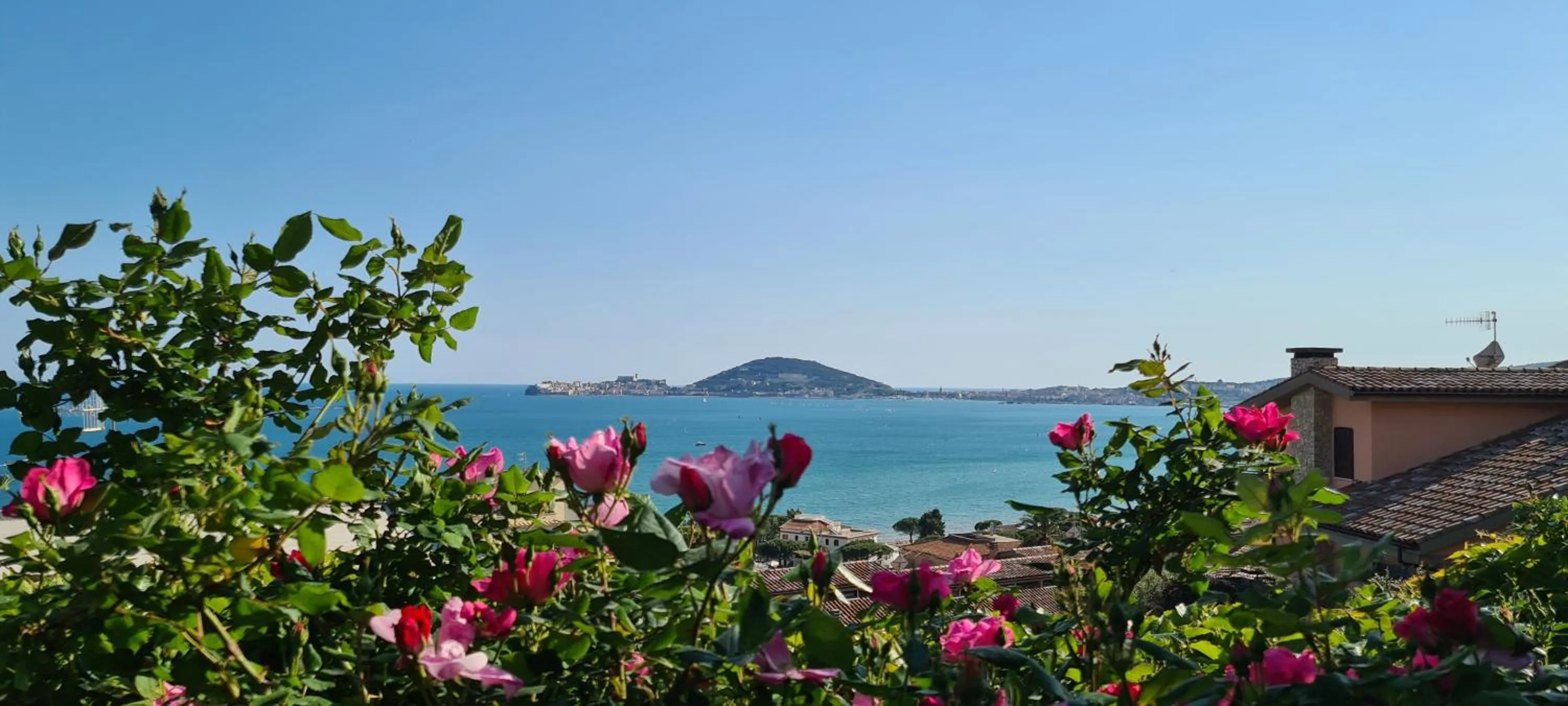 Garden in Villa Olga B&B