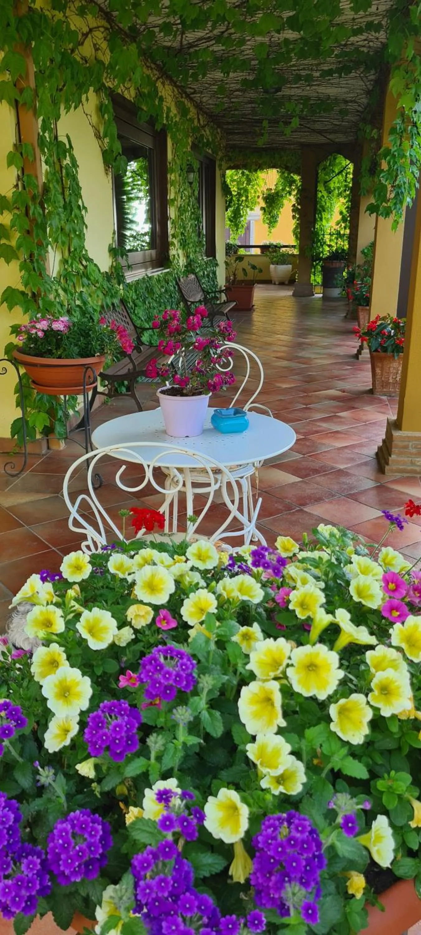 Patio in Villa Olga B&B