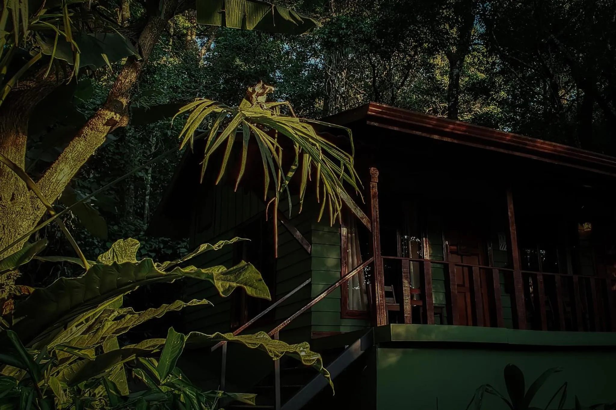 Photo of the whole room in Jaguarundi Jungle Lodge - Monteverde