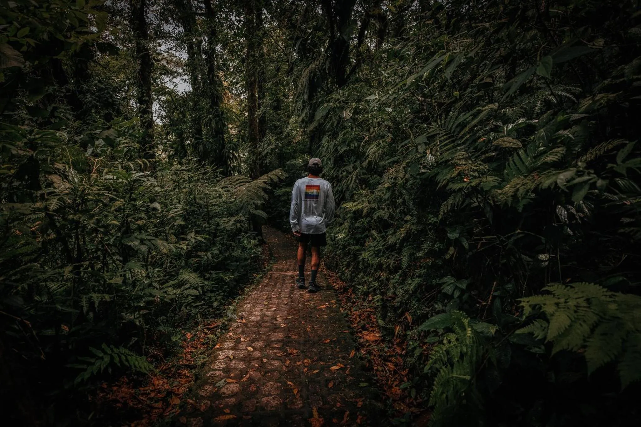 Hiking in Jaguarundi Jungle Lodge - Monteverde