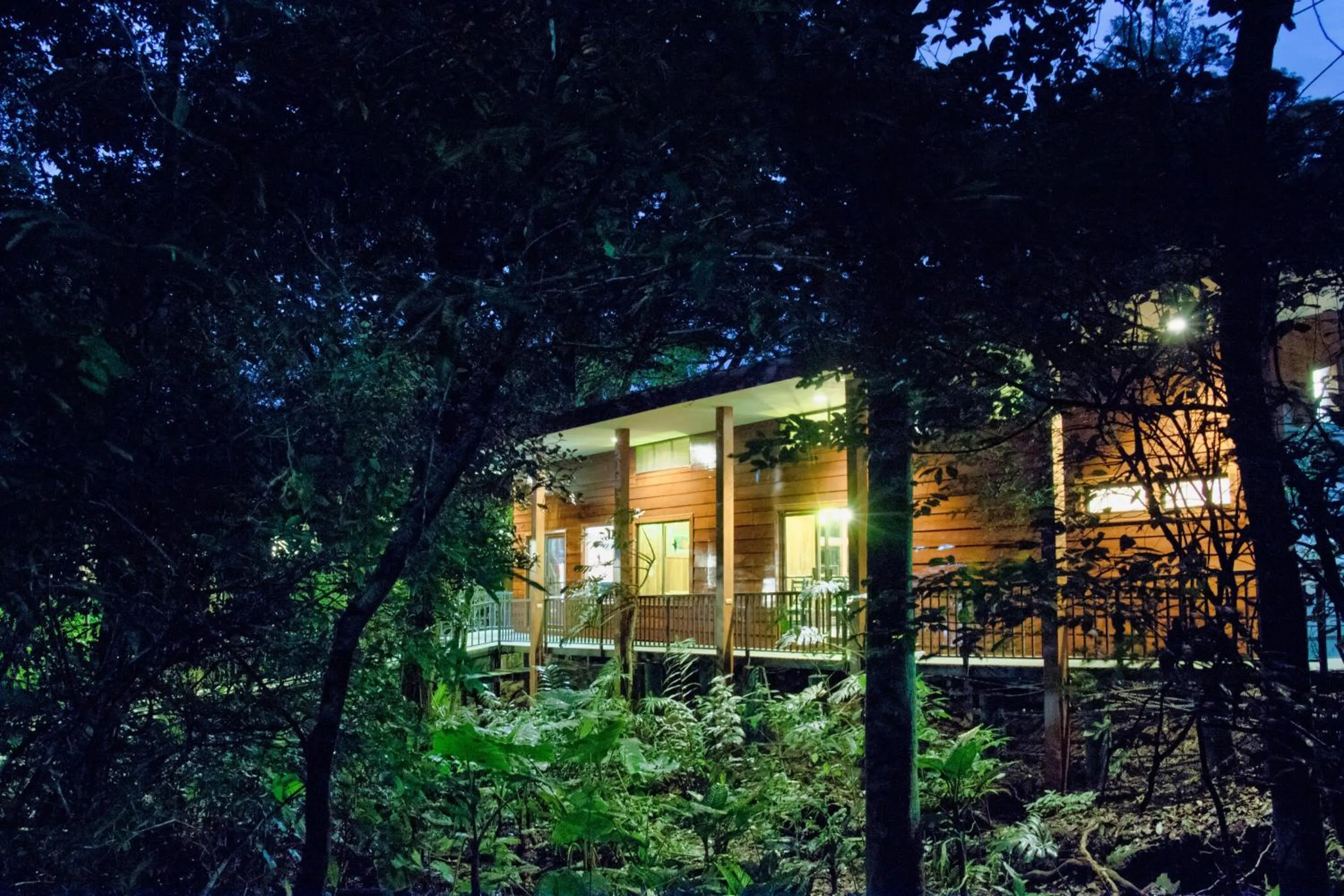 Property building in Jaguarundi Jungle Lodge - Monteverde