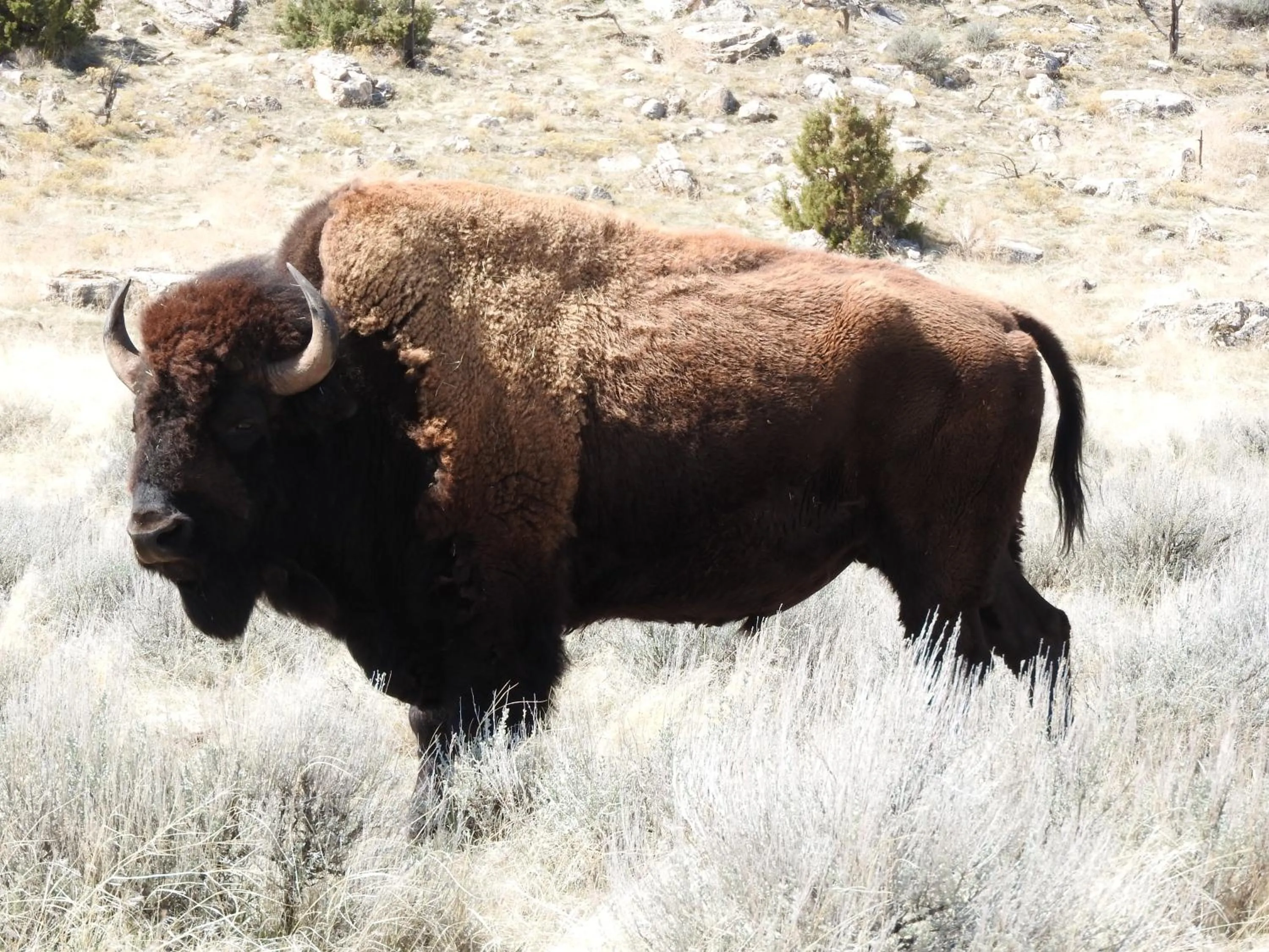 Natural landscape in Rainbow Motel