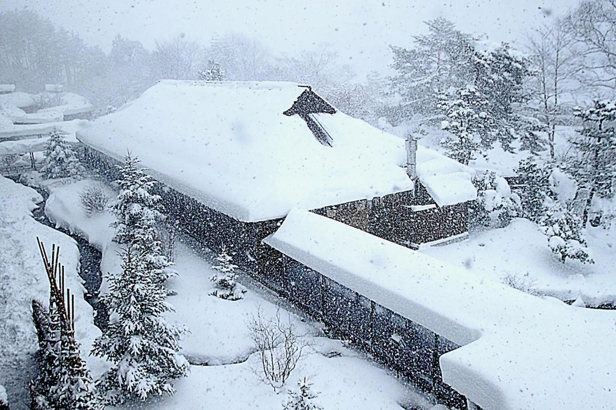 Property building in Matsunoi