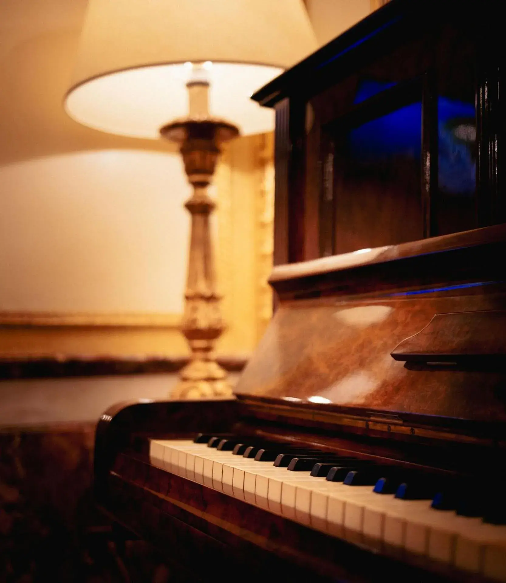 Restaurant/places to eat in Hotel Des Epoques Restaurant/places to eat in Hotel Des Epoques