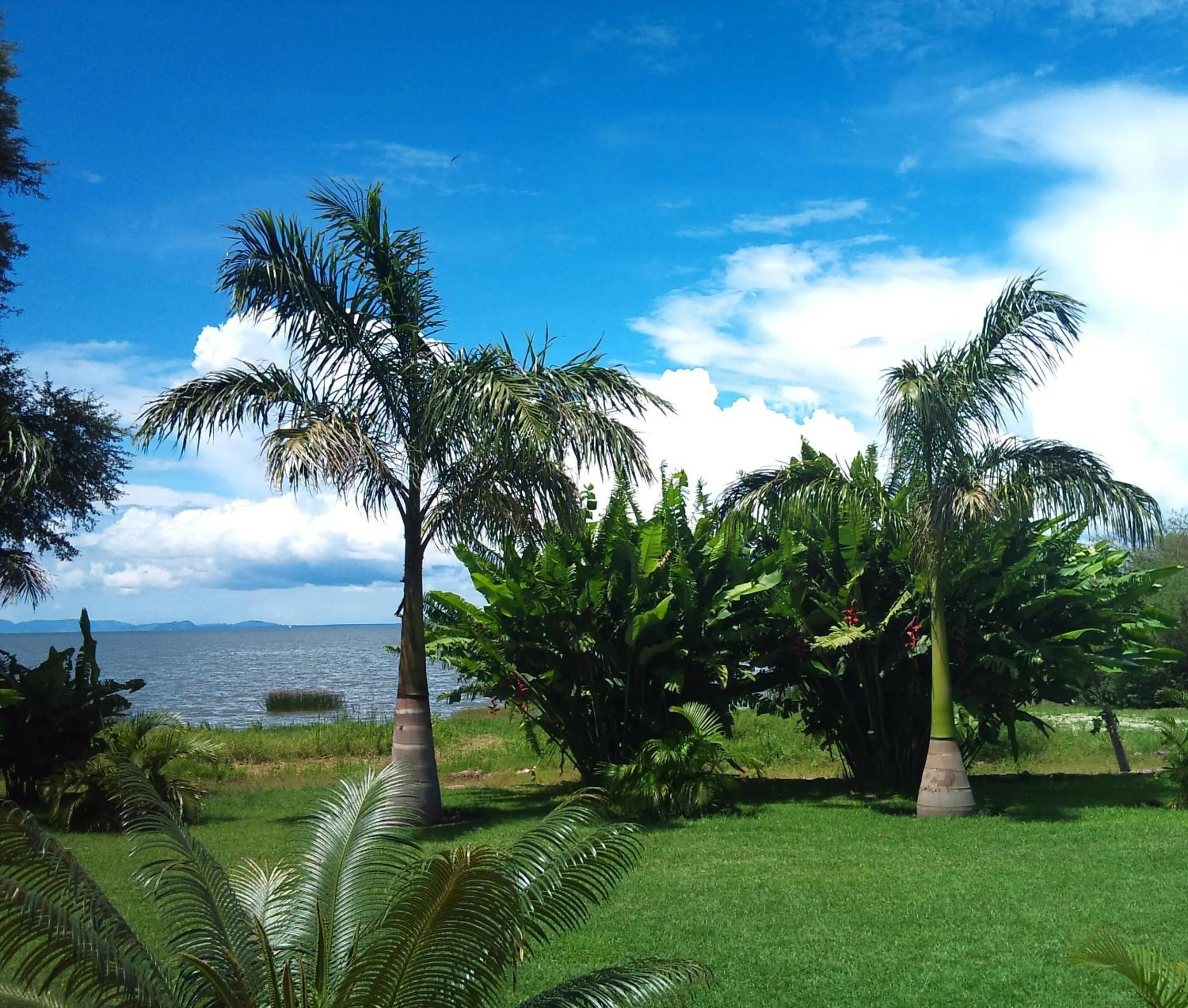 Day in Serenity on the Lake