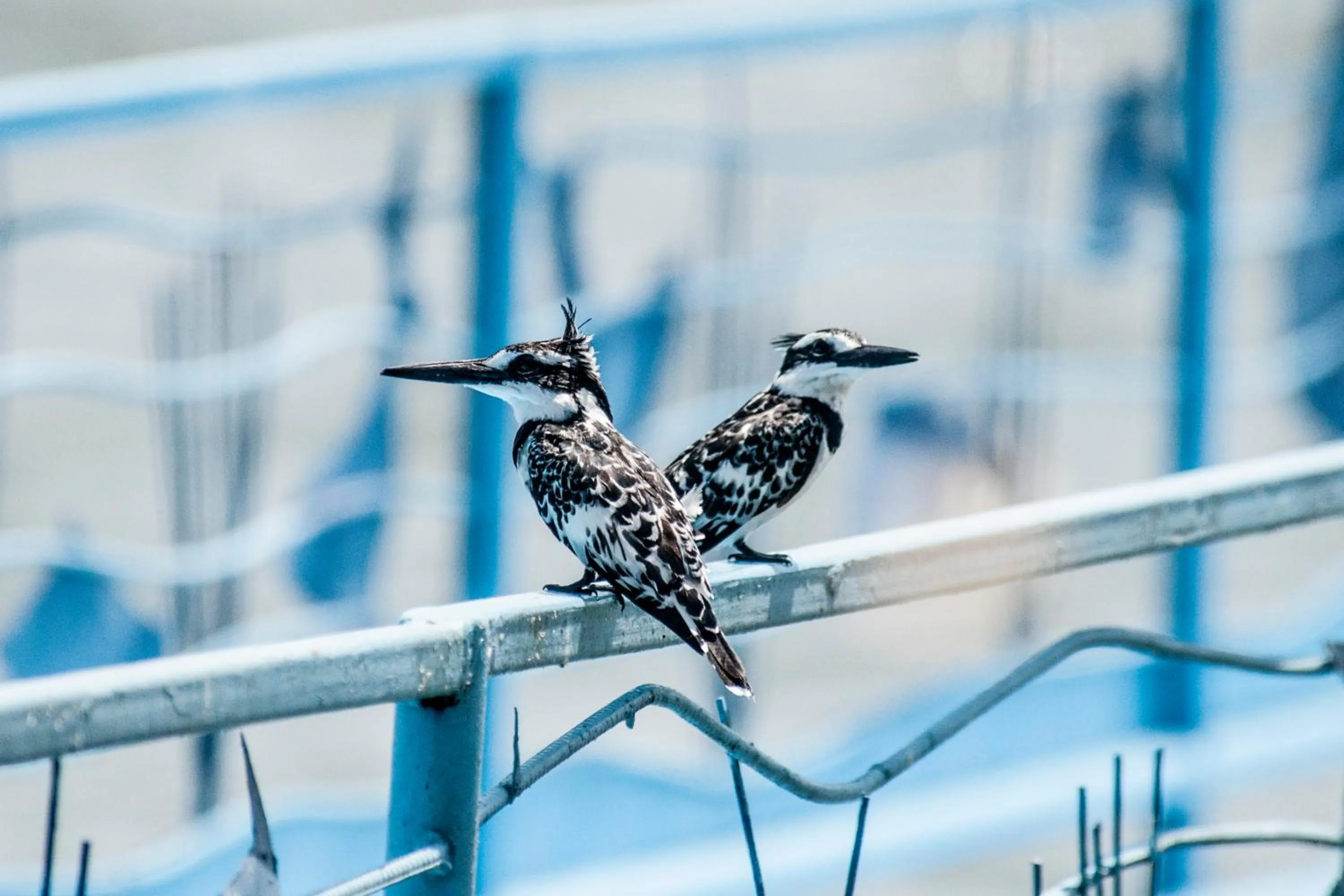 Serenity on the Lake
