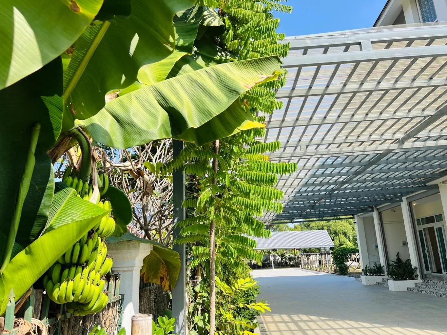 Inner courtyard view in Garden House Rice Field and Mountain View