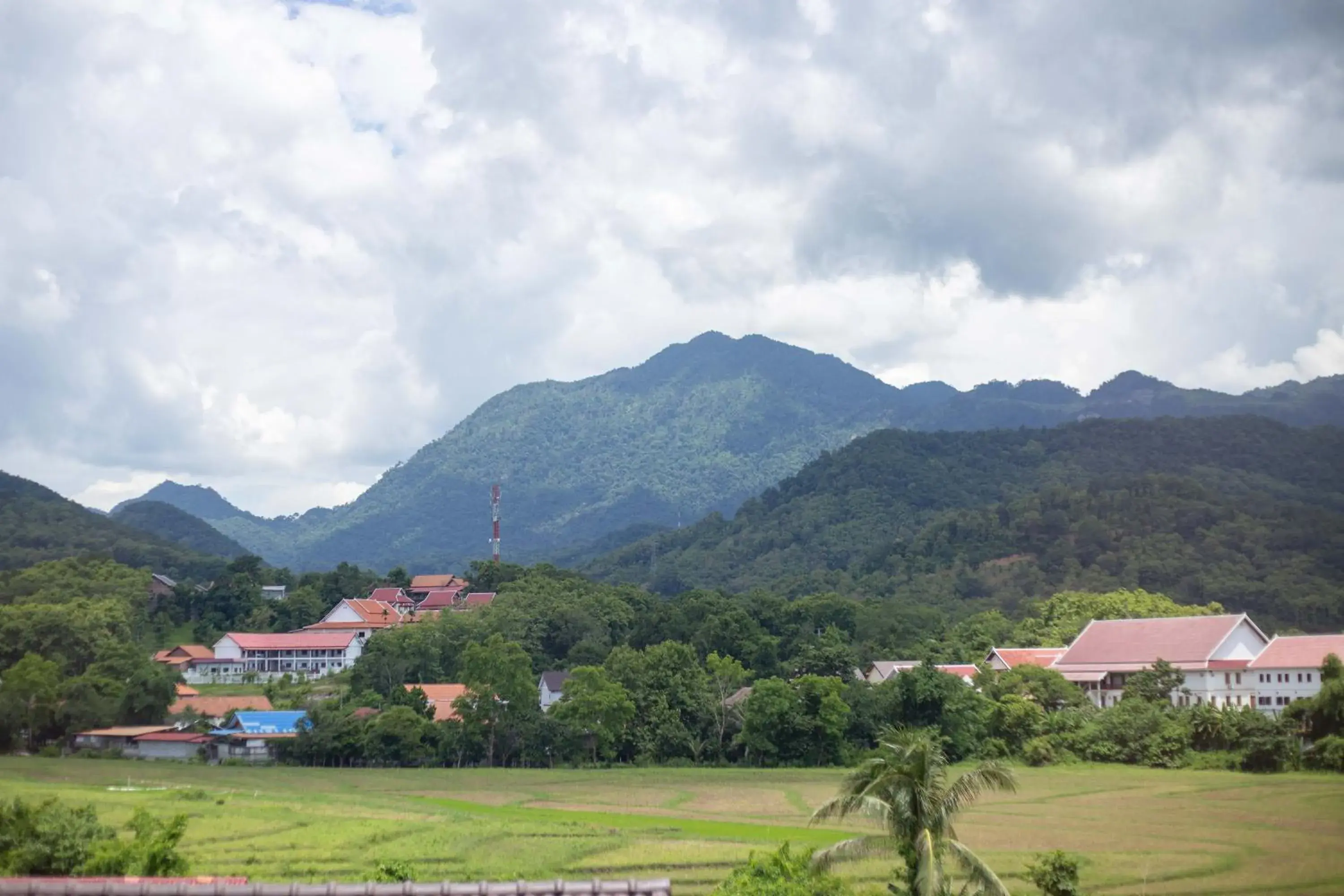 Mountain view in Garden House Rice Field and Mountain View Mountain view in Garden House Rice Field and Mountain View