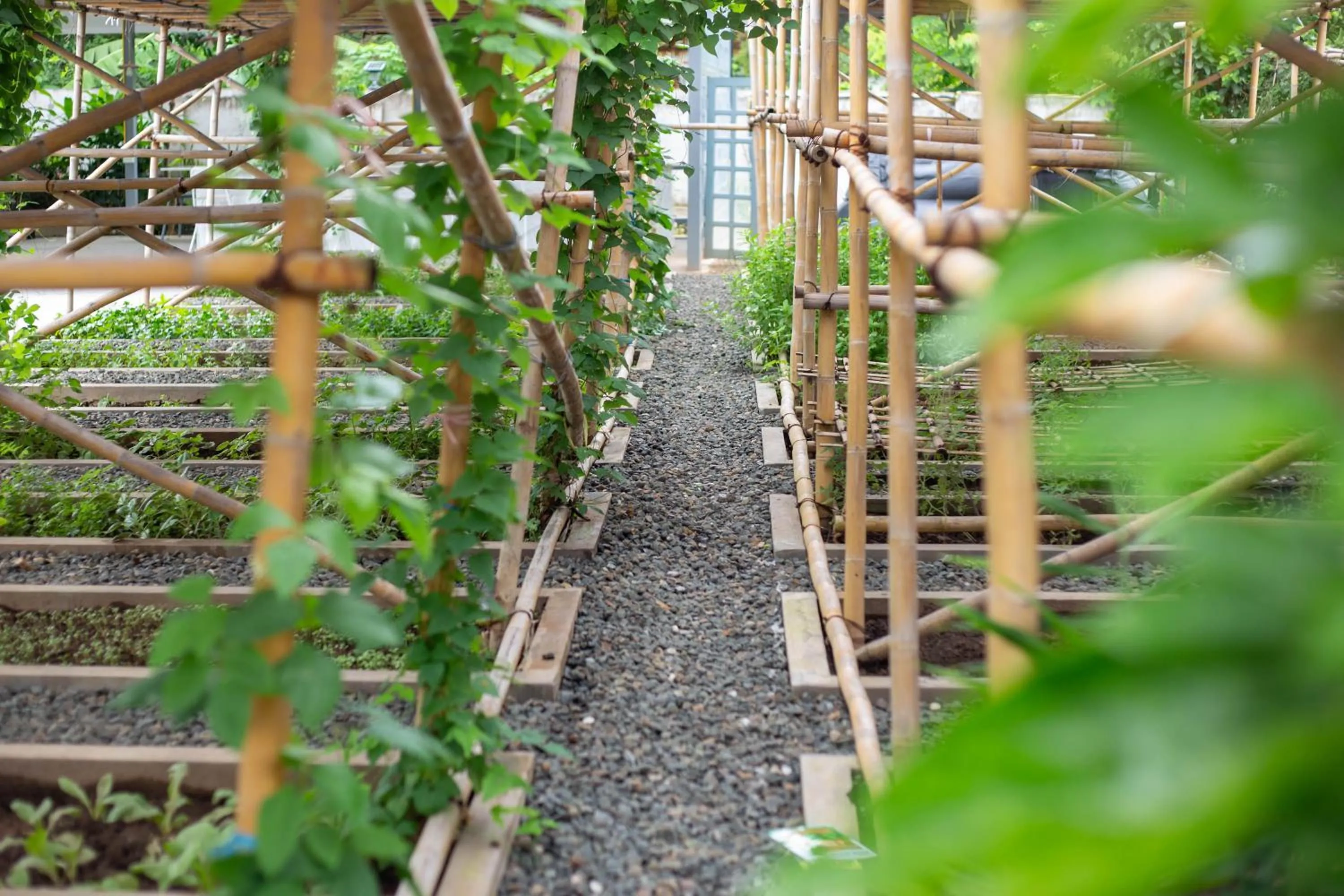 Property building in Garden House Rice Field and Mountain View