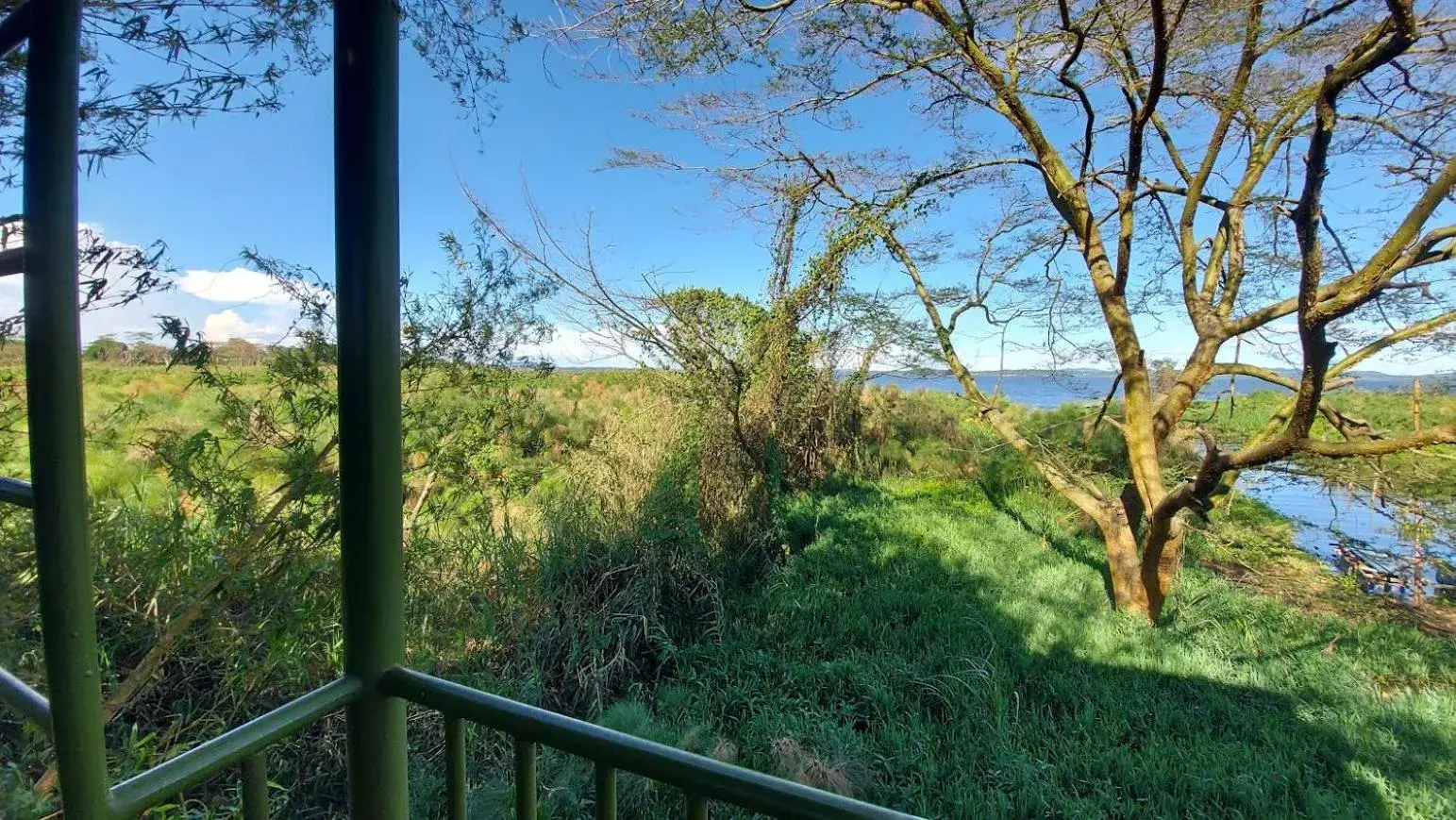 Double Room with Lake View - single occupancy in Yellow Haven Lodge Double Room with Lake View - single occupancy in Yellow Haven Lodge