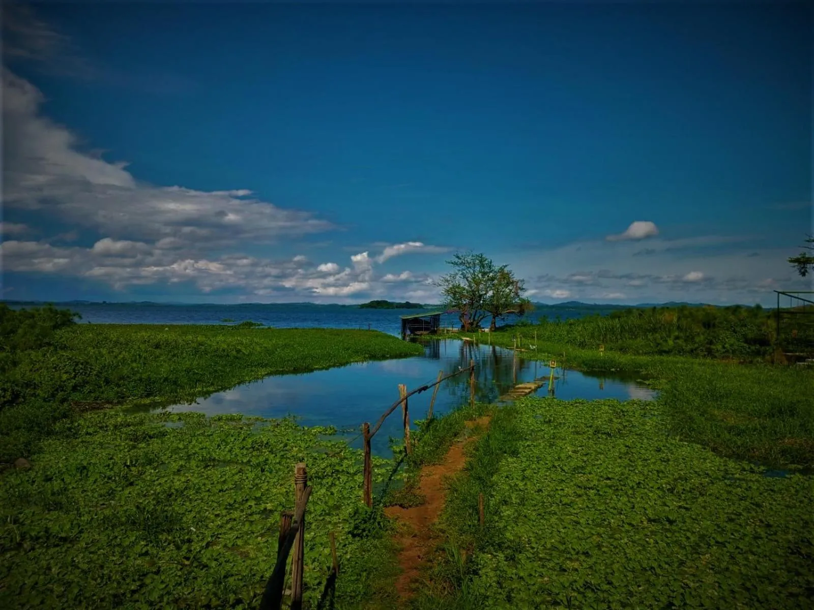 Natural landscape in Yellow Haven Lodge