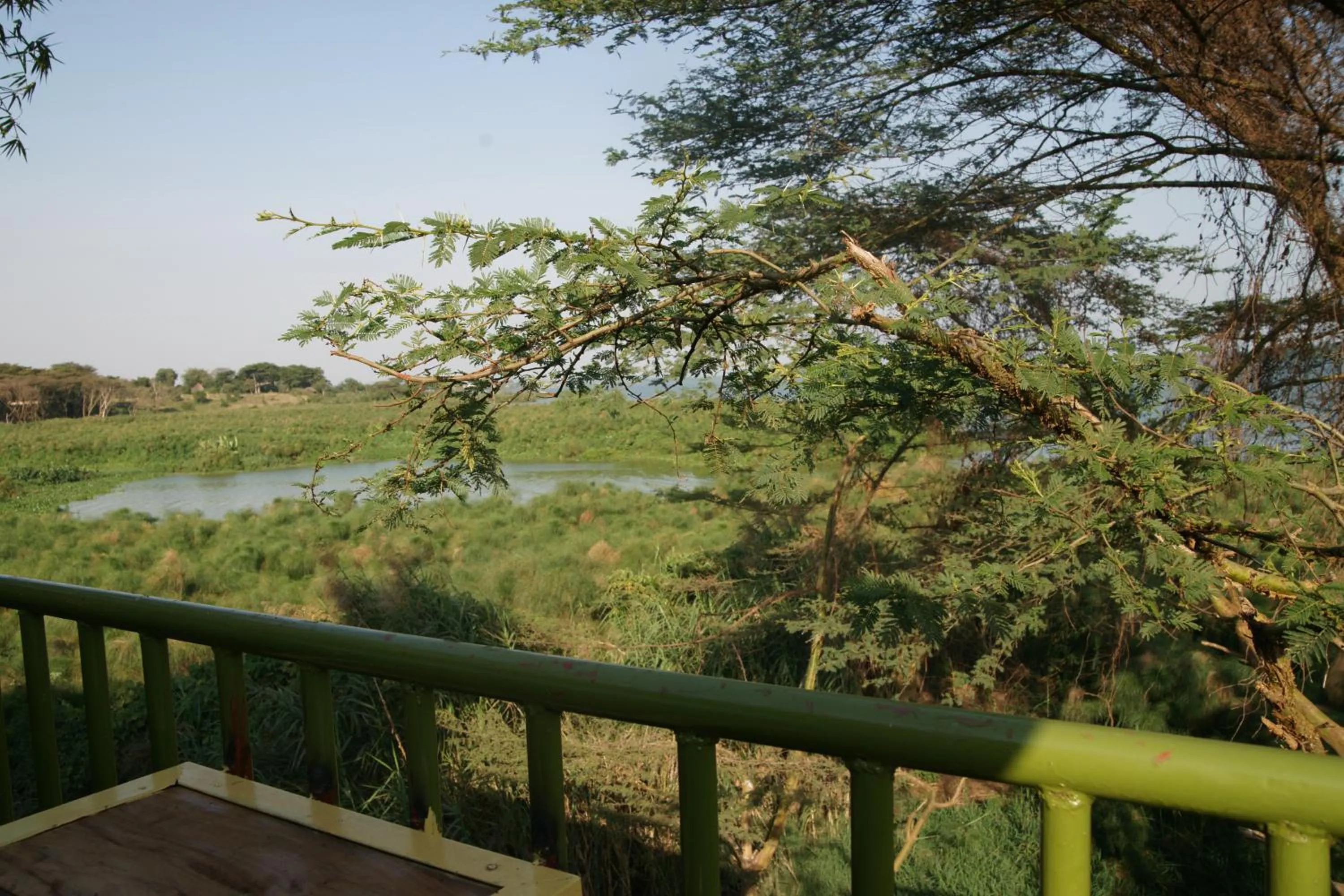 Natural landscape in Yellow Haven Lodge