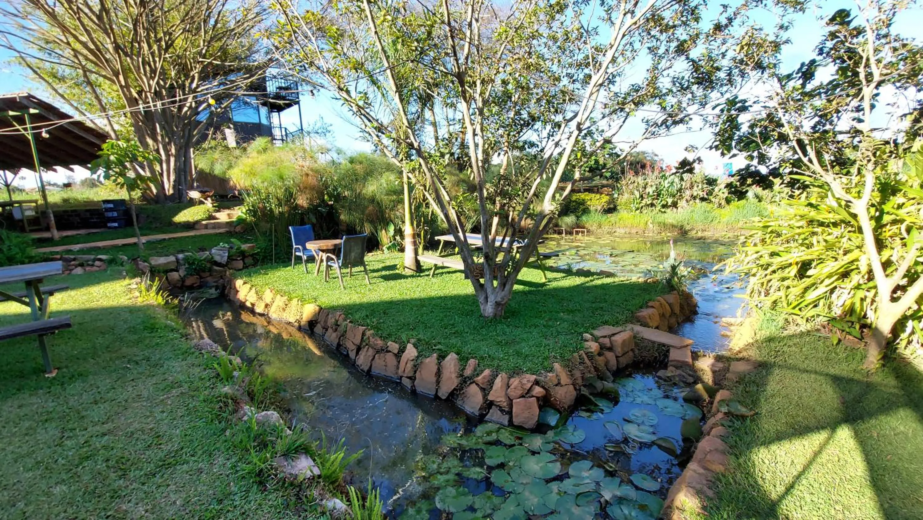 Natural landscape in Yellow Haven Lodge