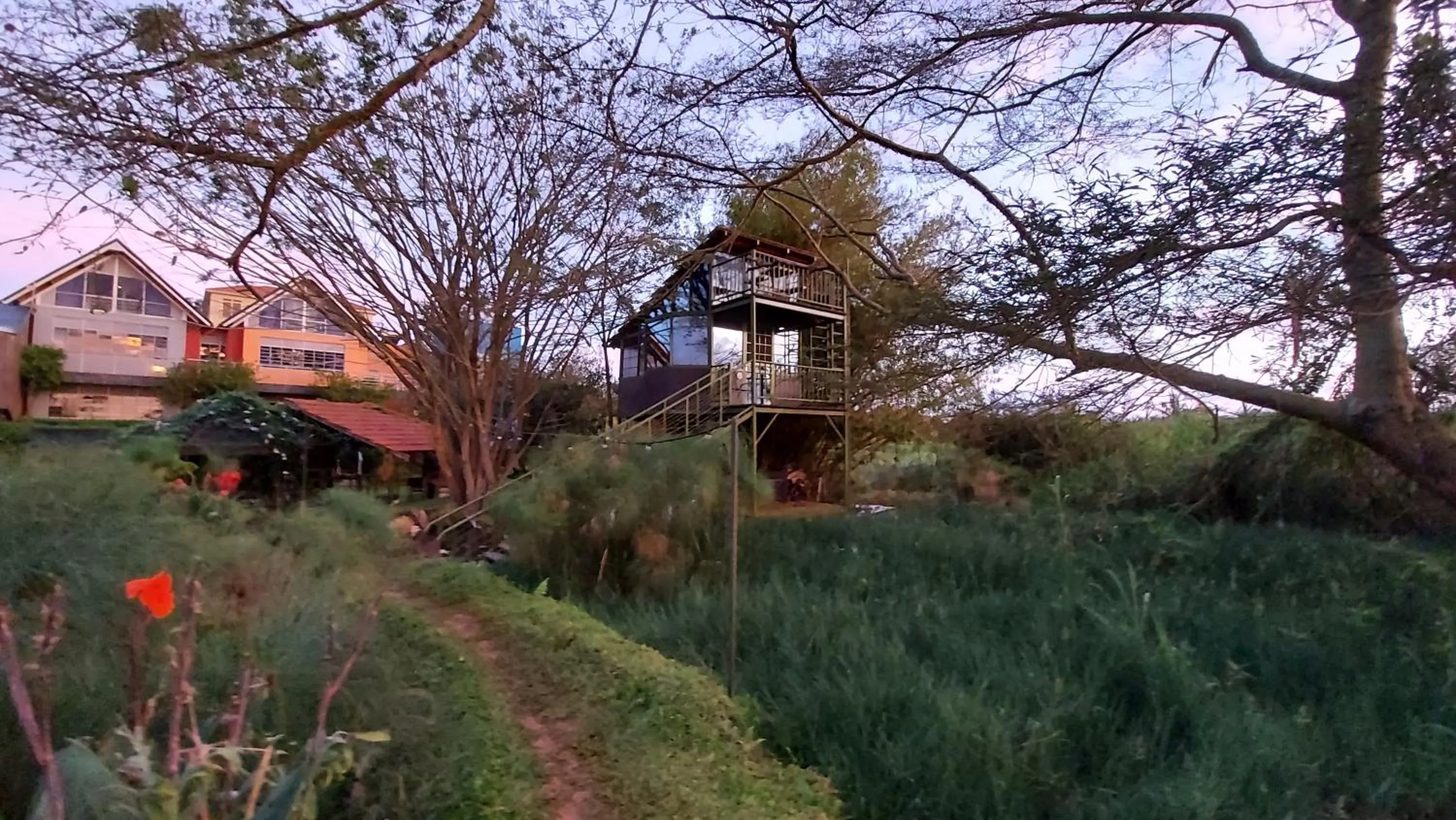 Natural landscape in Yellow Haven Lodge