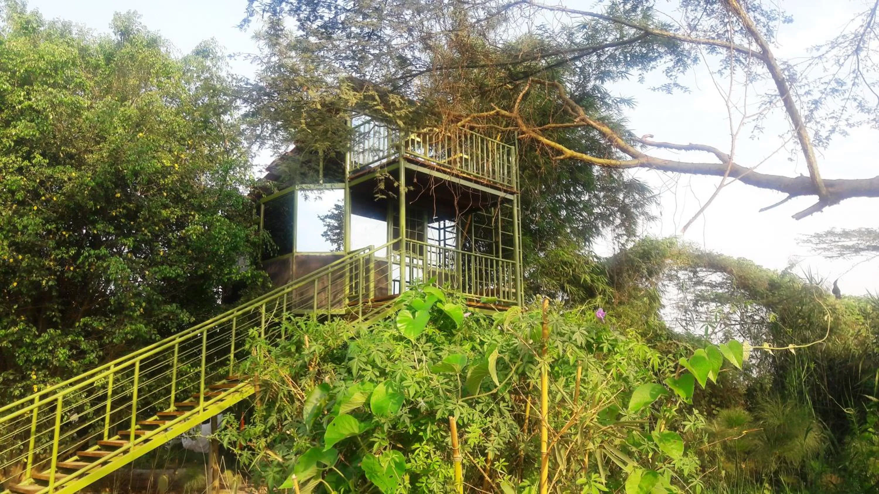 Garden in Yellow Haven Lodge