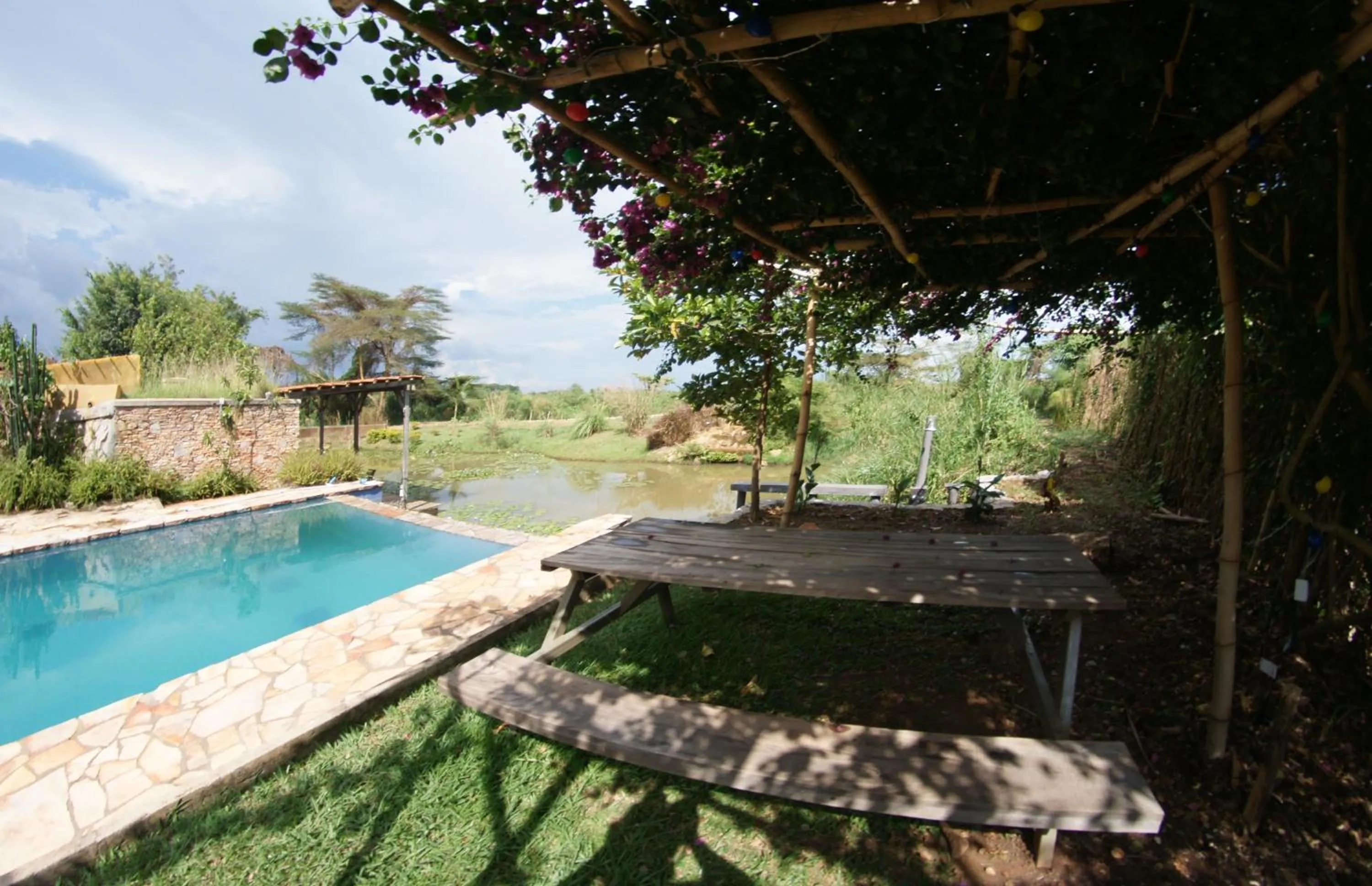 Swimming pool in Yellow Haven Lodge