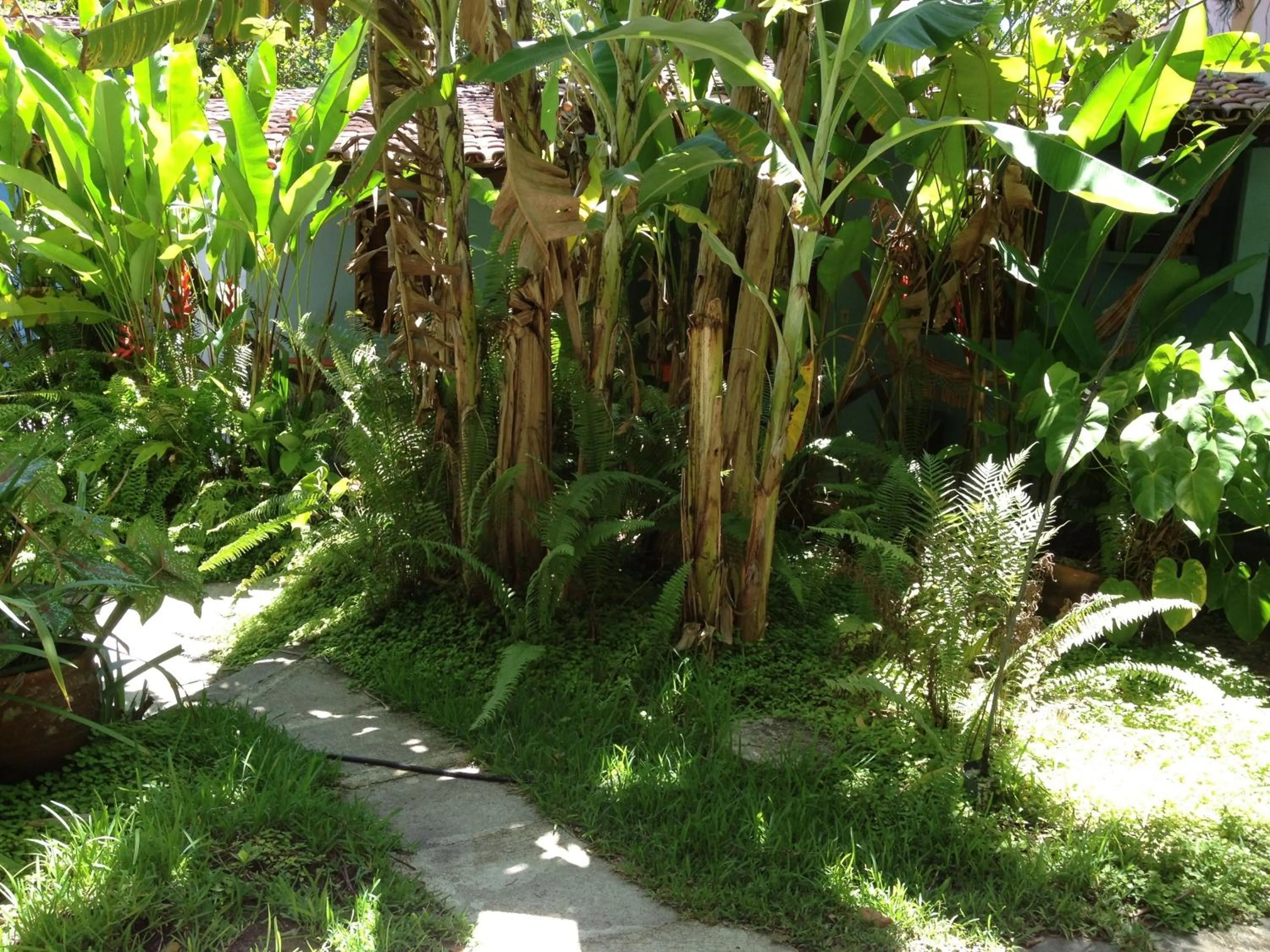Garden in Pousada do Mineiro