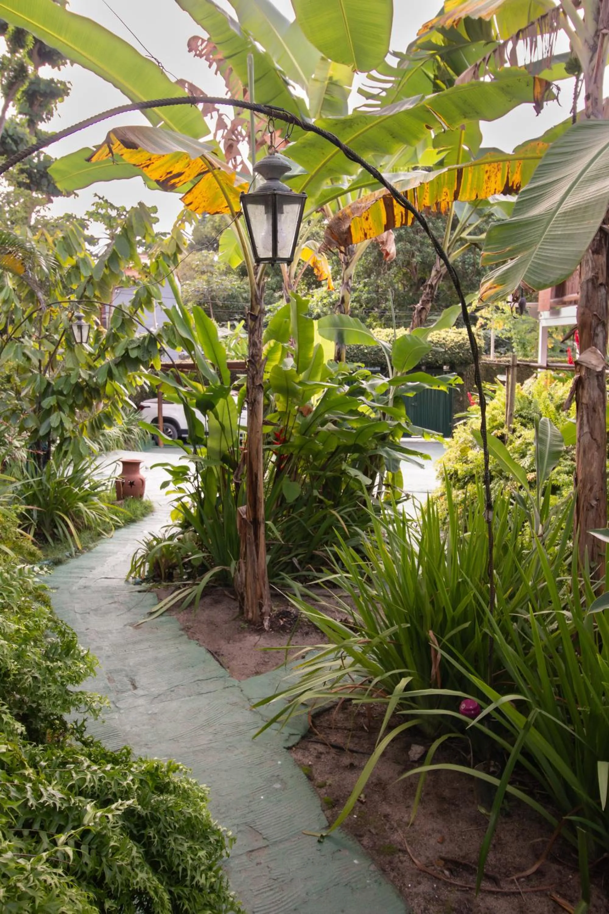 Garden in Pousada do Mineiro