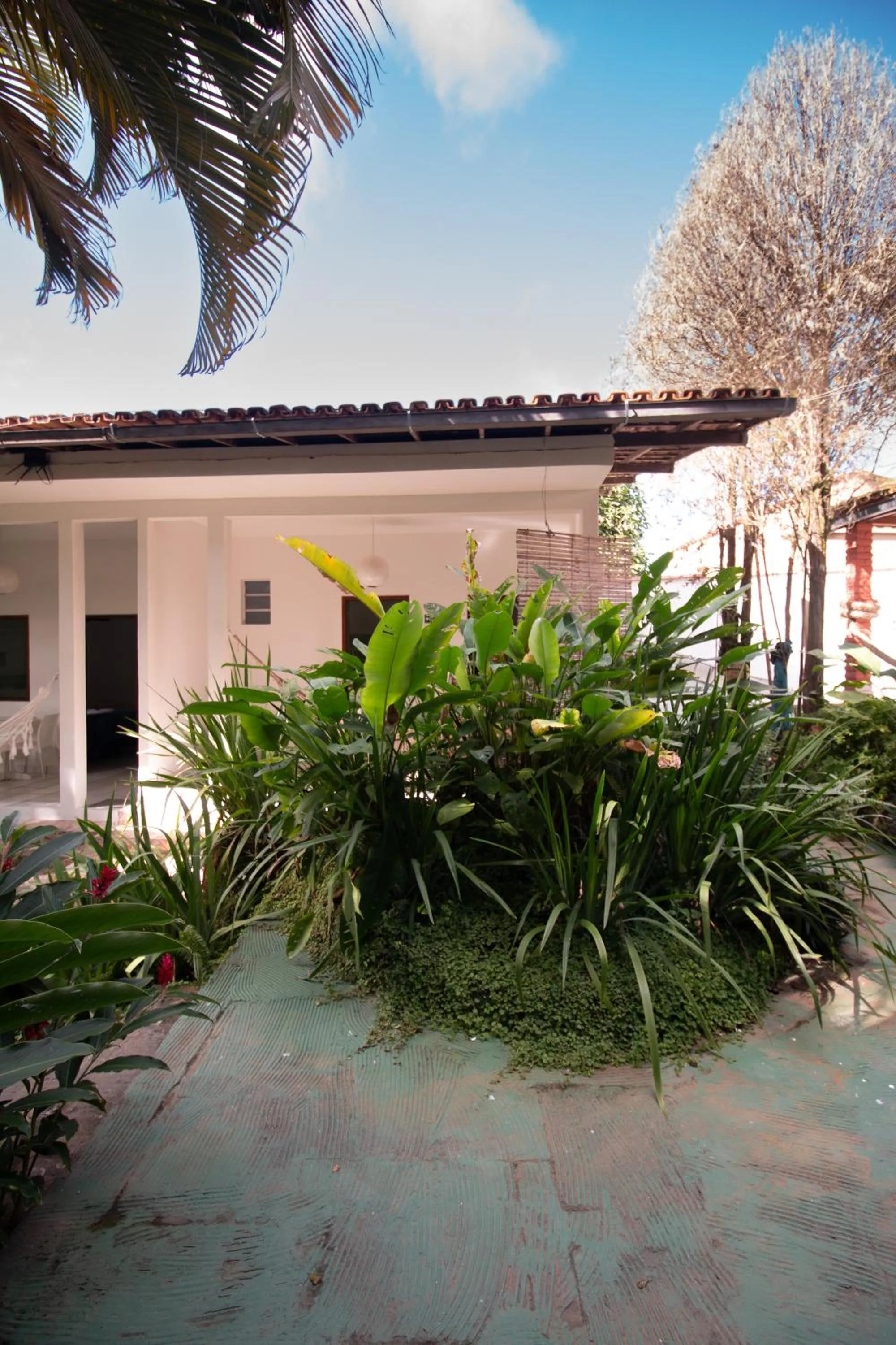 Garden in Pousada do Mineiro