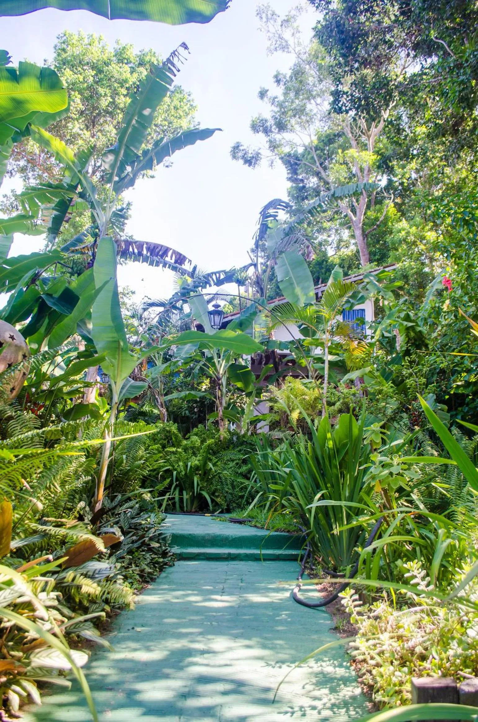 Garden view in Pousada do Mineiro