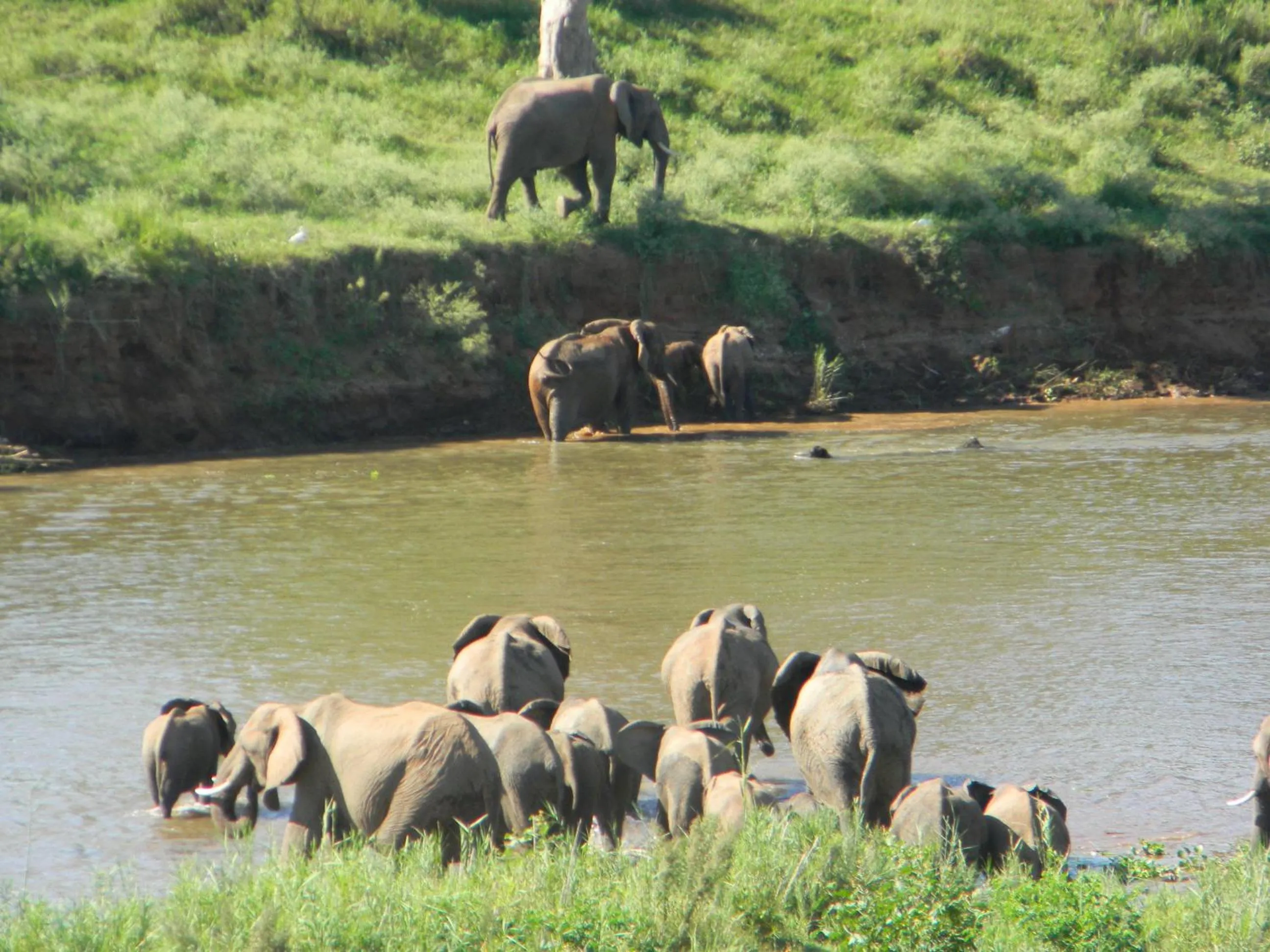River view in Kruger View Chalets