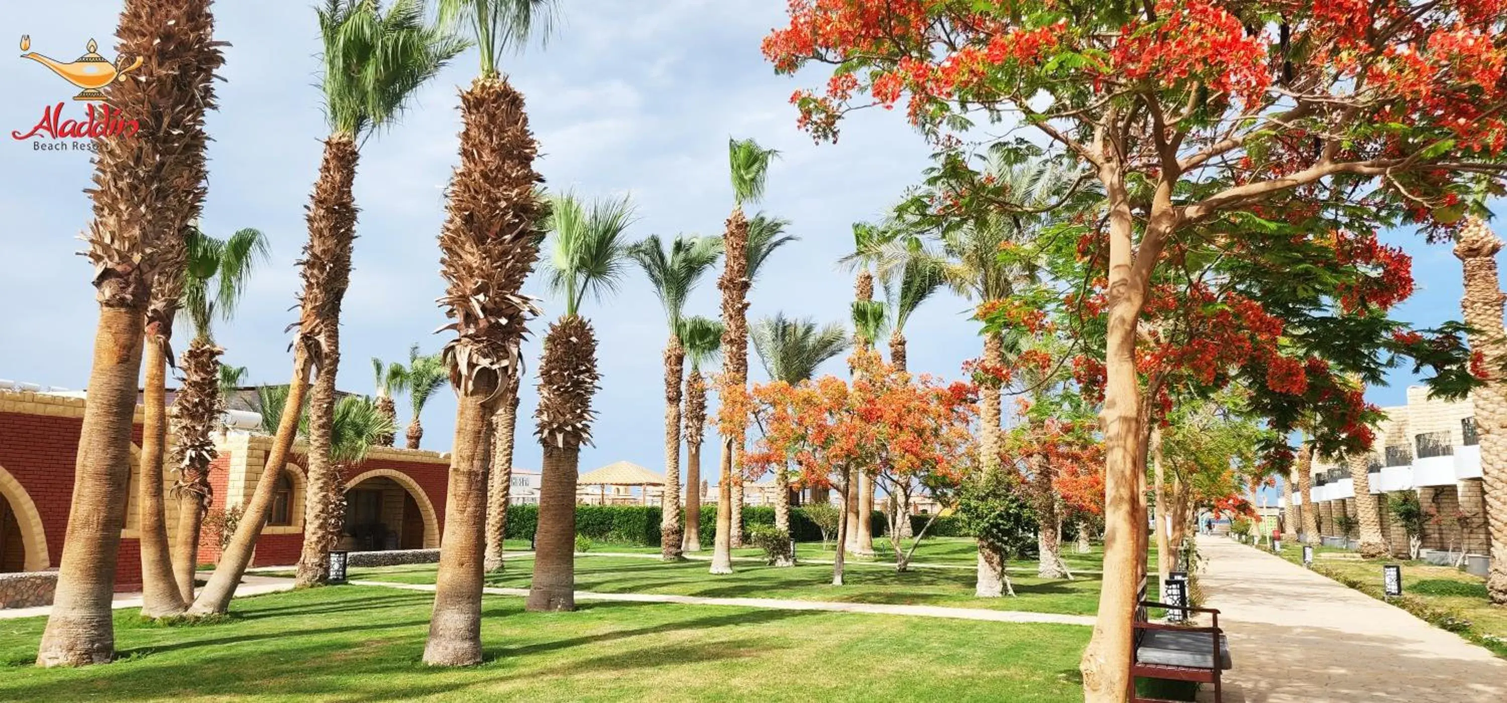 Garden in ALADDIN BEACH RESORT