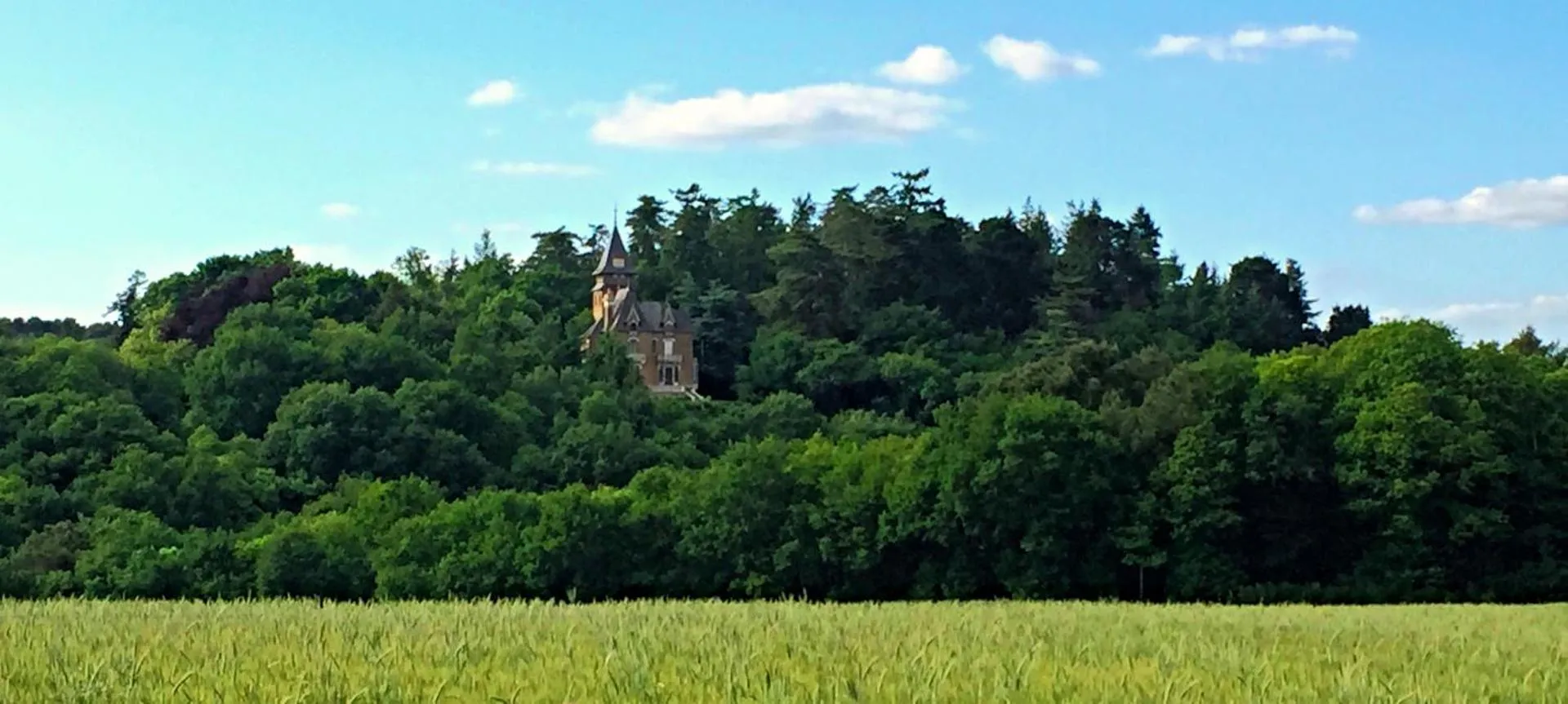 Chateau du Mur