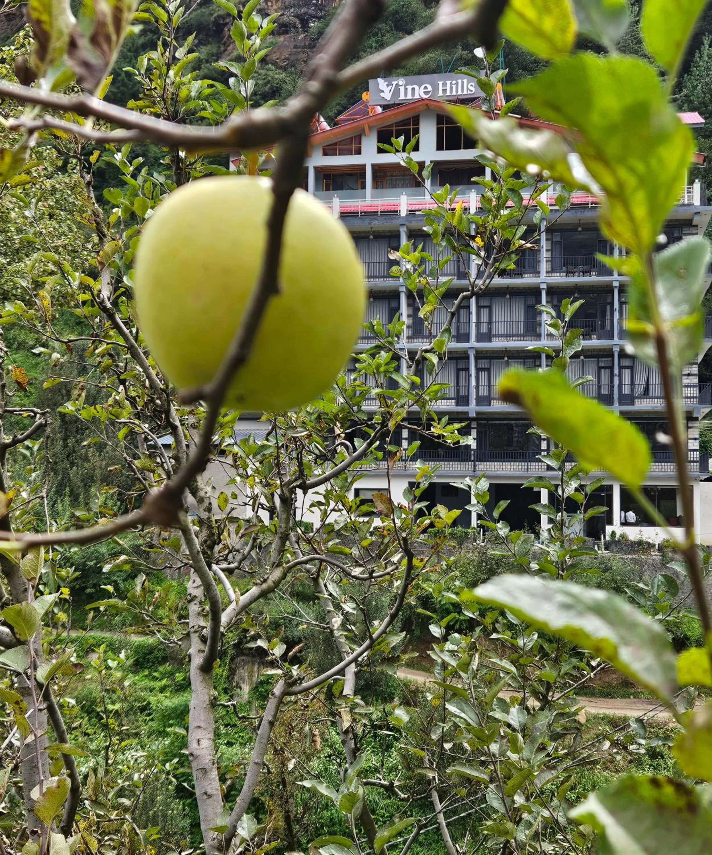 Property building in BluSalzz Vine Hills Resort, Manali