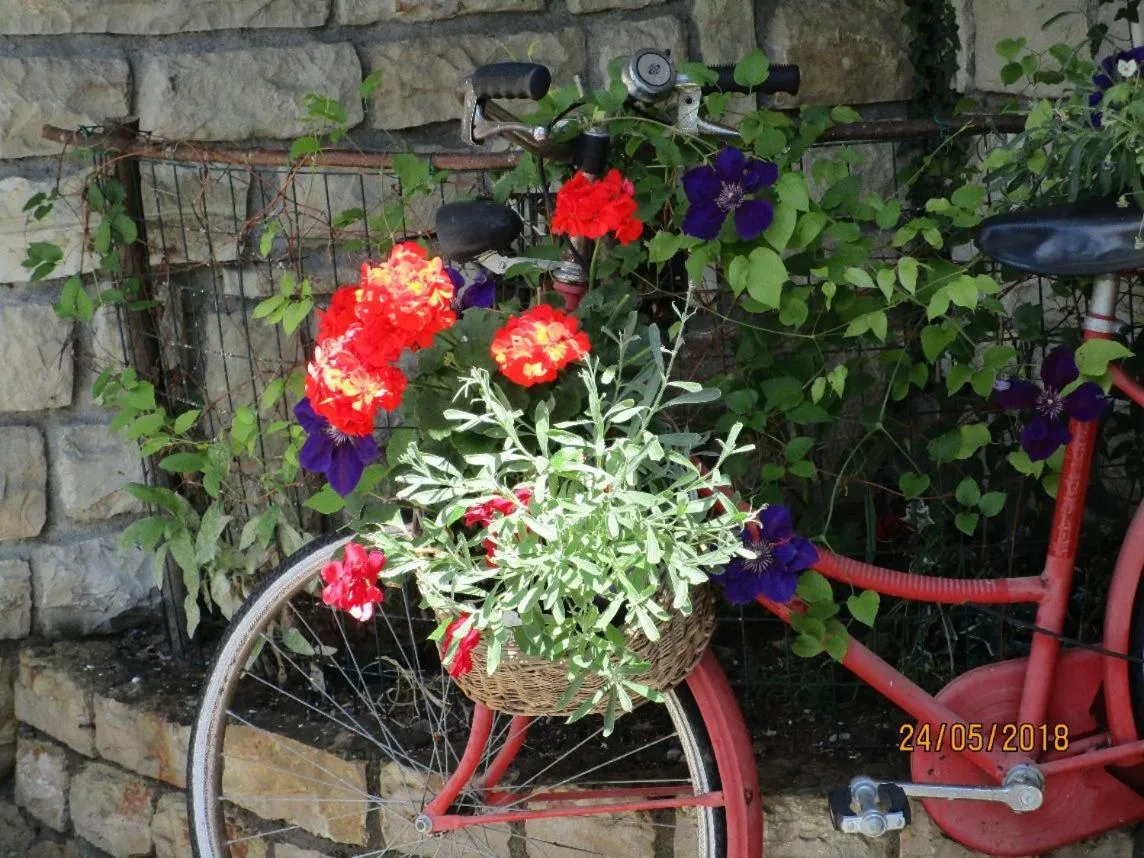 Garden in Villa Leilani B&B