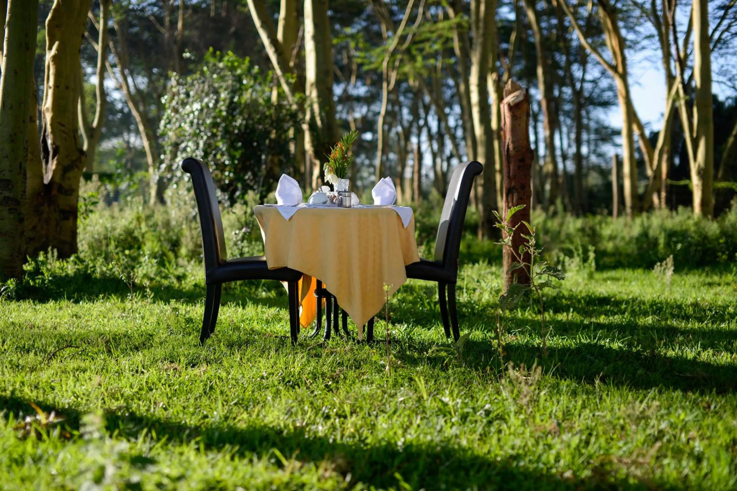 Restaurant/places to eat in Burch's Resort Naivasha
