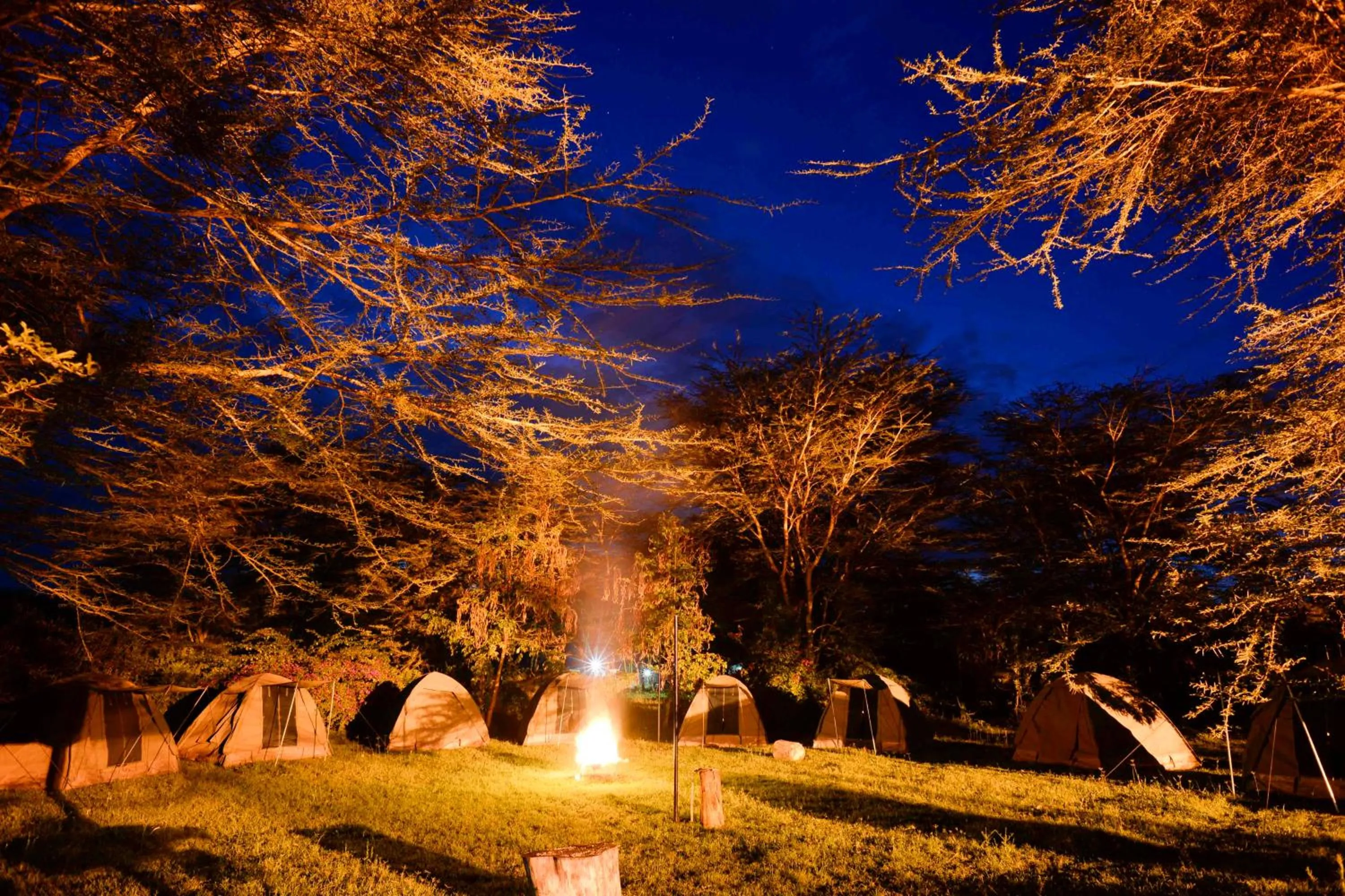Bed in Burch's Resort Naivasha
