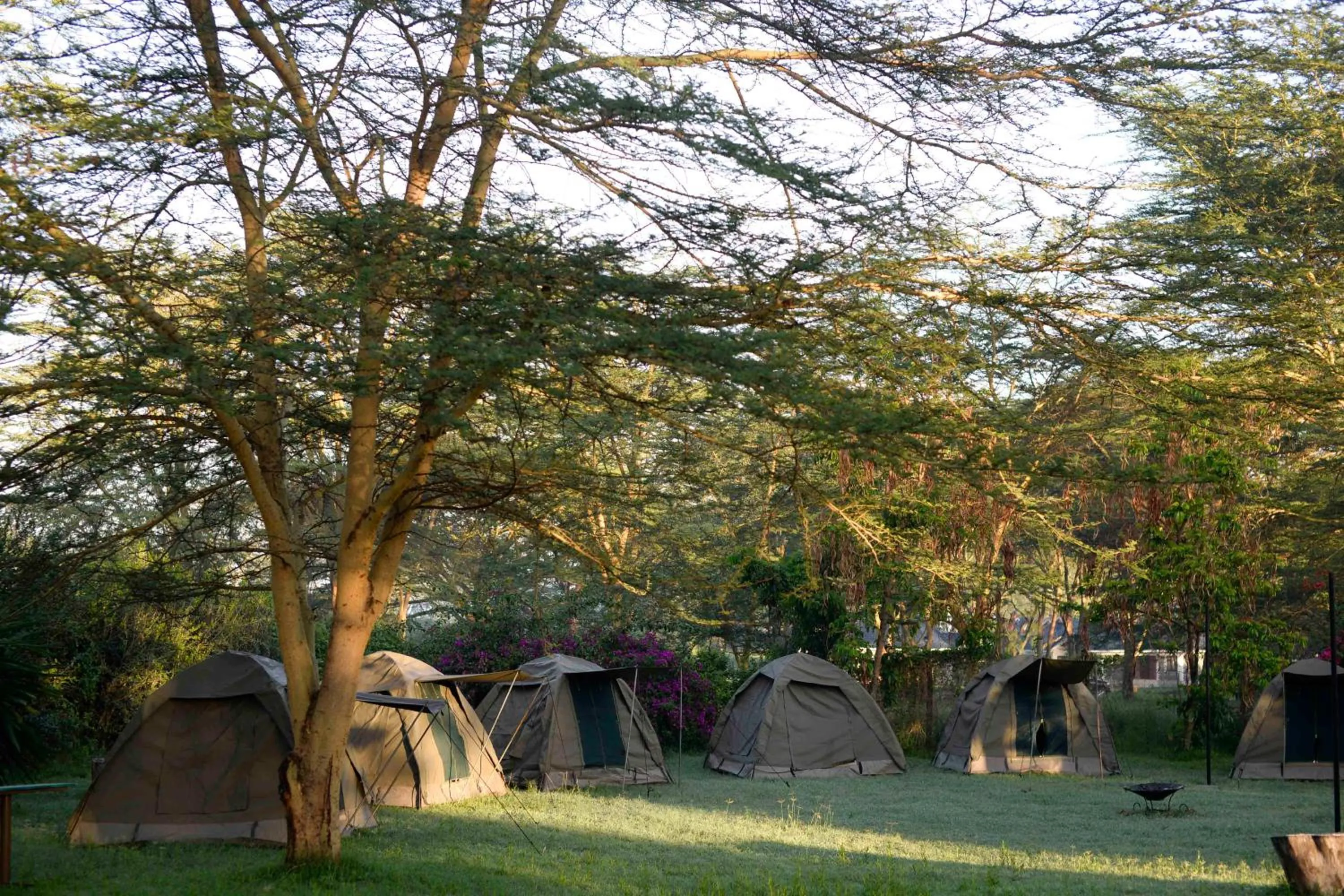 Bed in Burch's Resort Naivasha