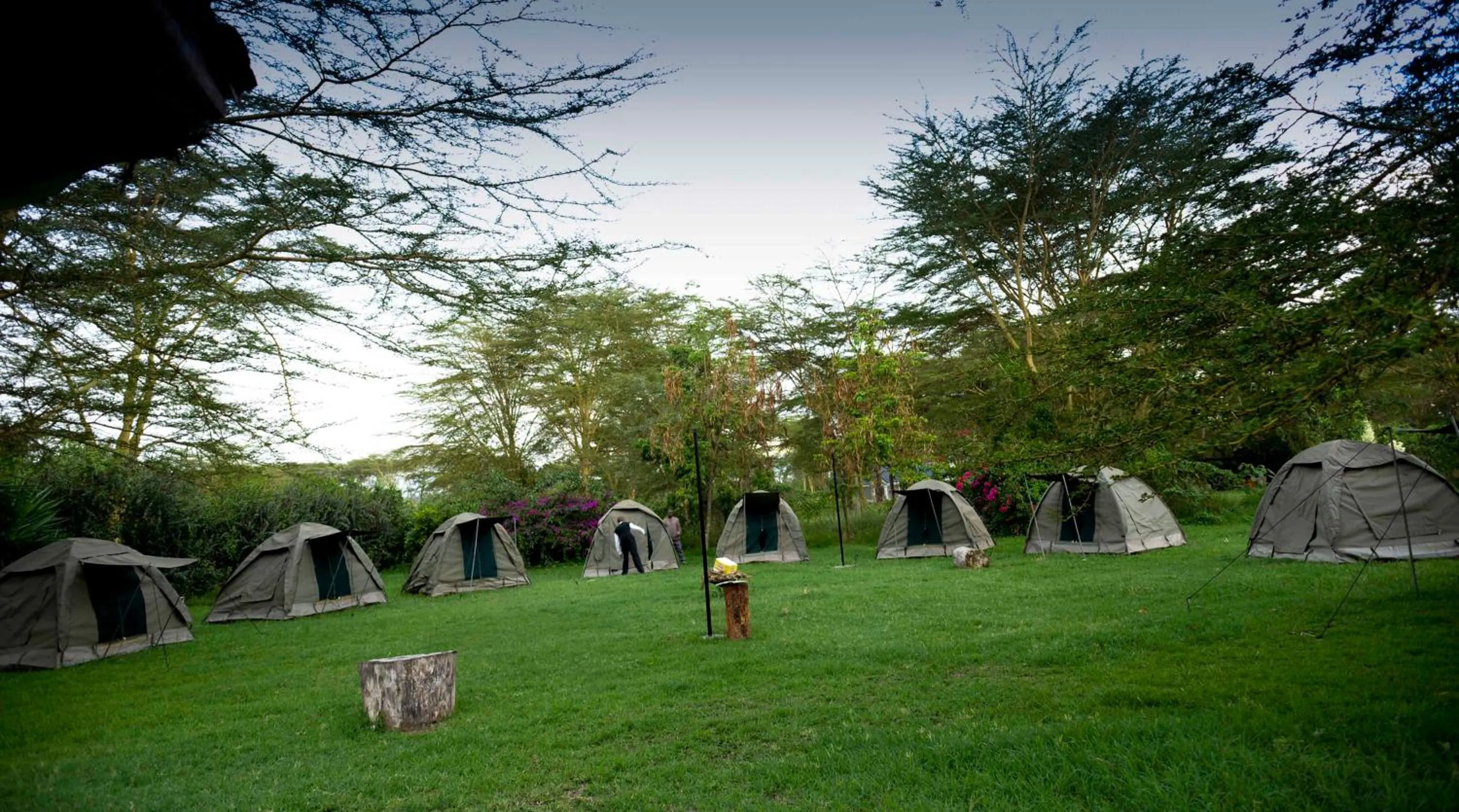 Garden in Burch's Resort Naivasha