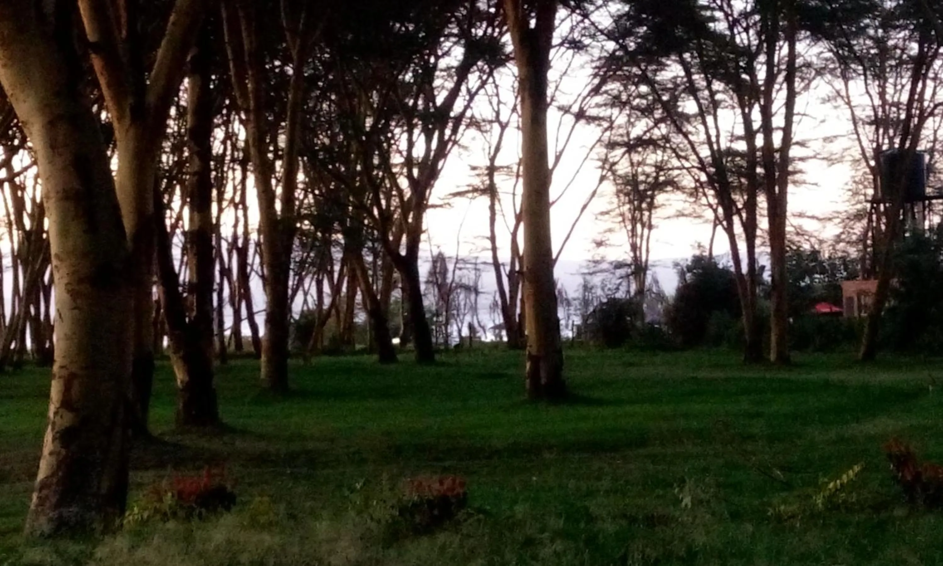 Nearby landmark in Burch's Resort Naivasha