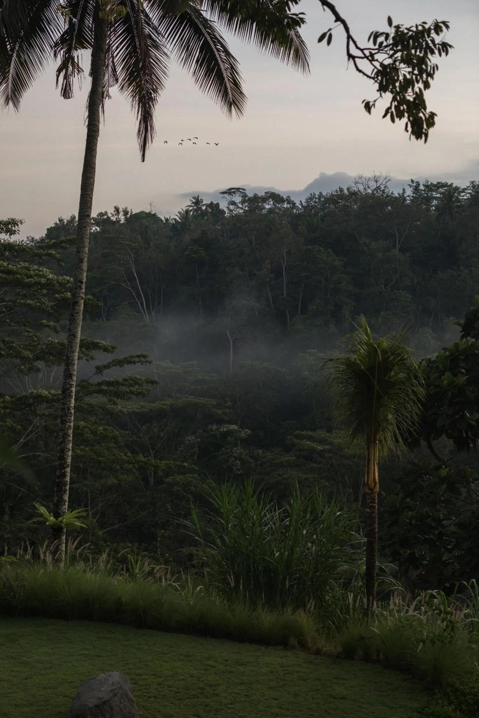 Natural landscape in BELALU Bali Boutique & SPA experience