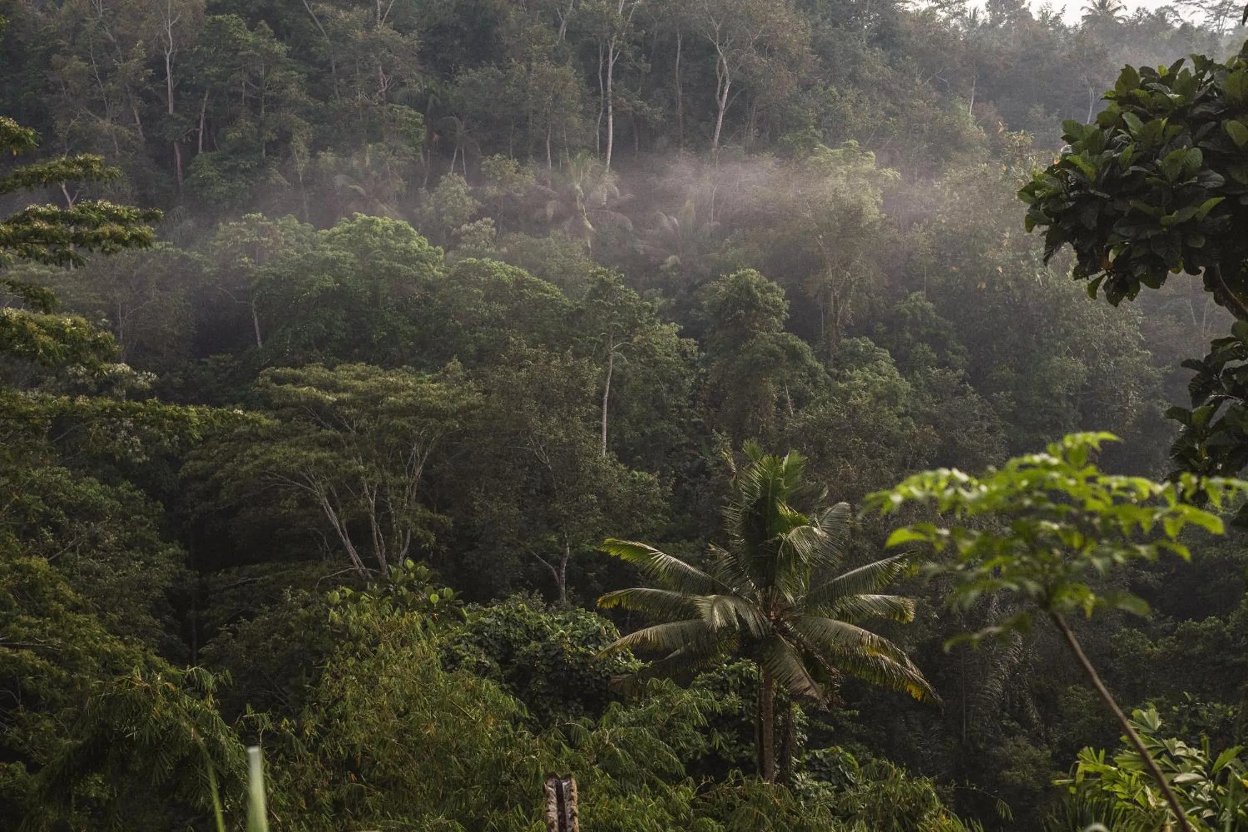 Natural landscape in BELALU Bali Boutique & SPA experience