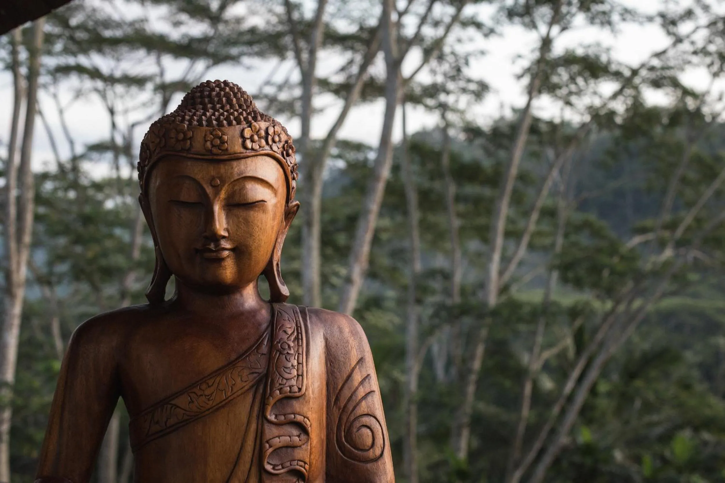 Natural landscape in BELALU Bali Boutique & SPA experience