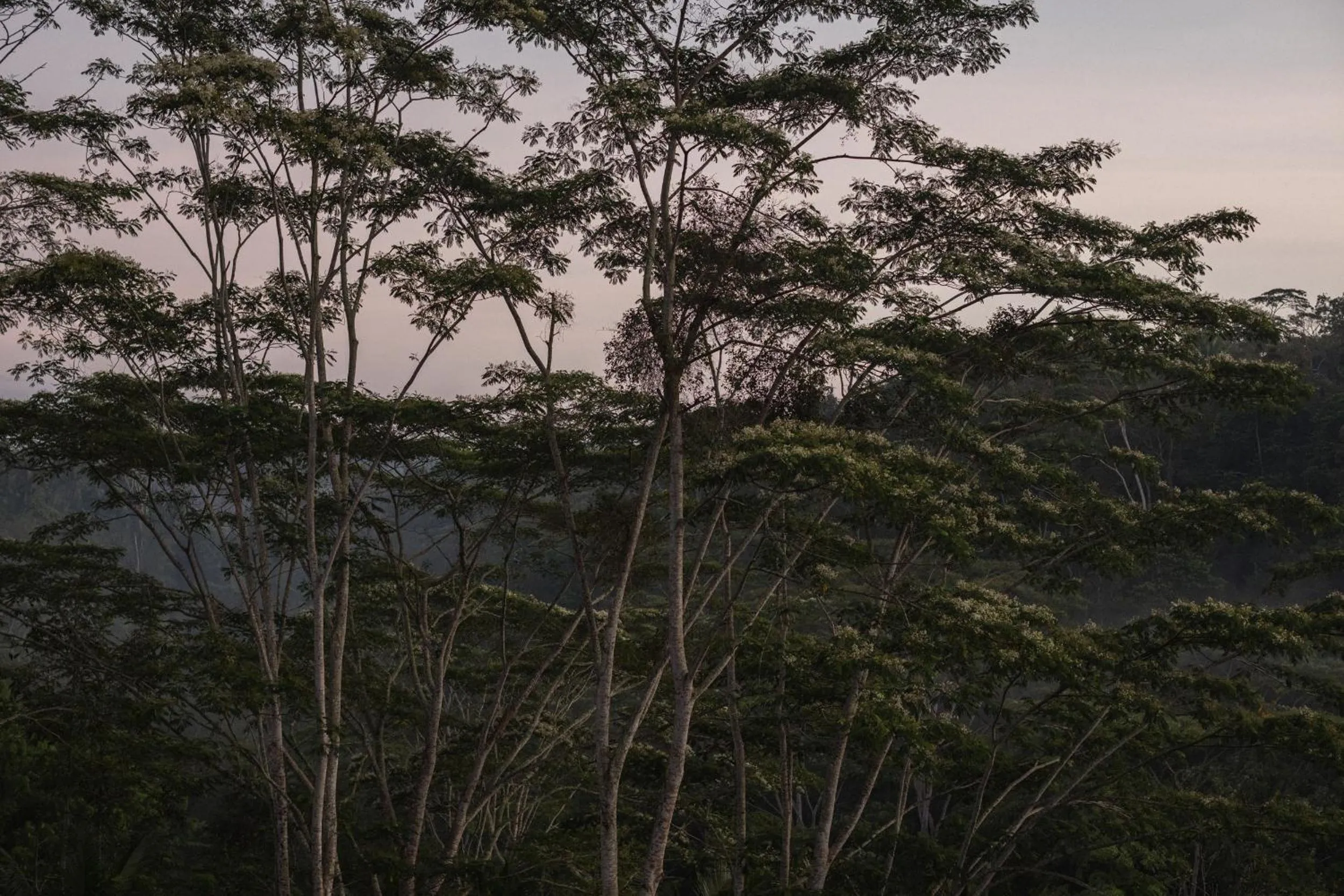 Natural landscape in BELALU Bali Boutique & SPA experience